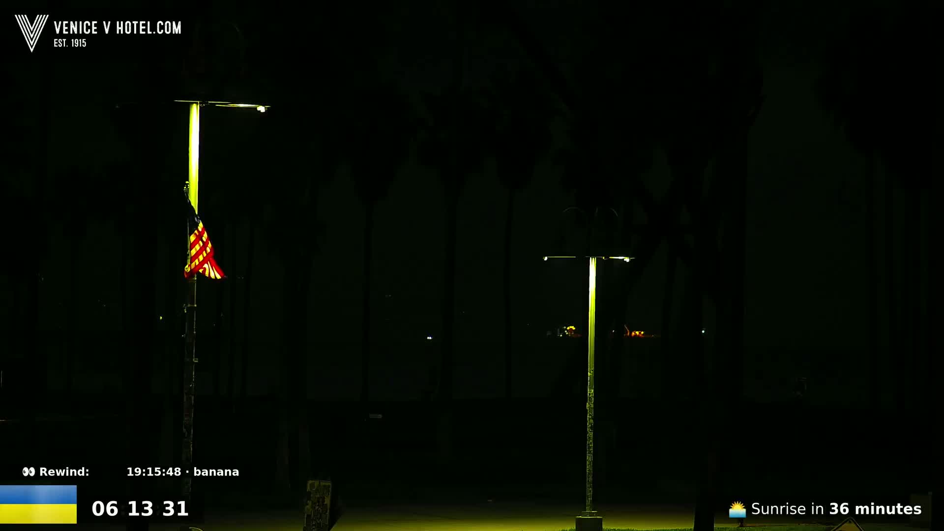 Two illuminated lampposts stand in a dark, nighttime outdoor scene amidst silhouetted palm trees, one with a flag hanging from it.