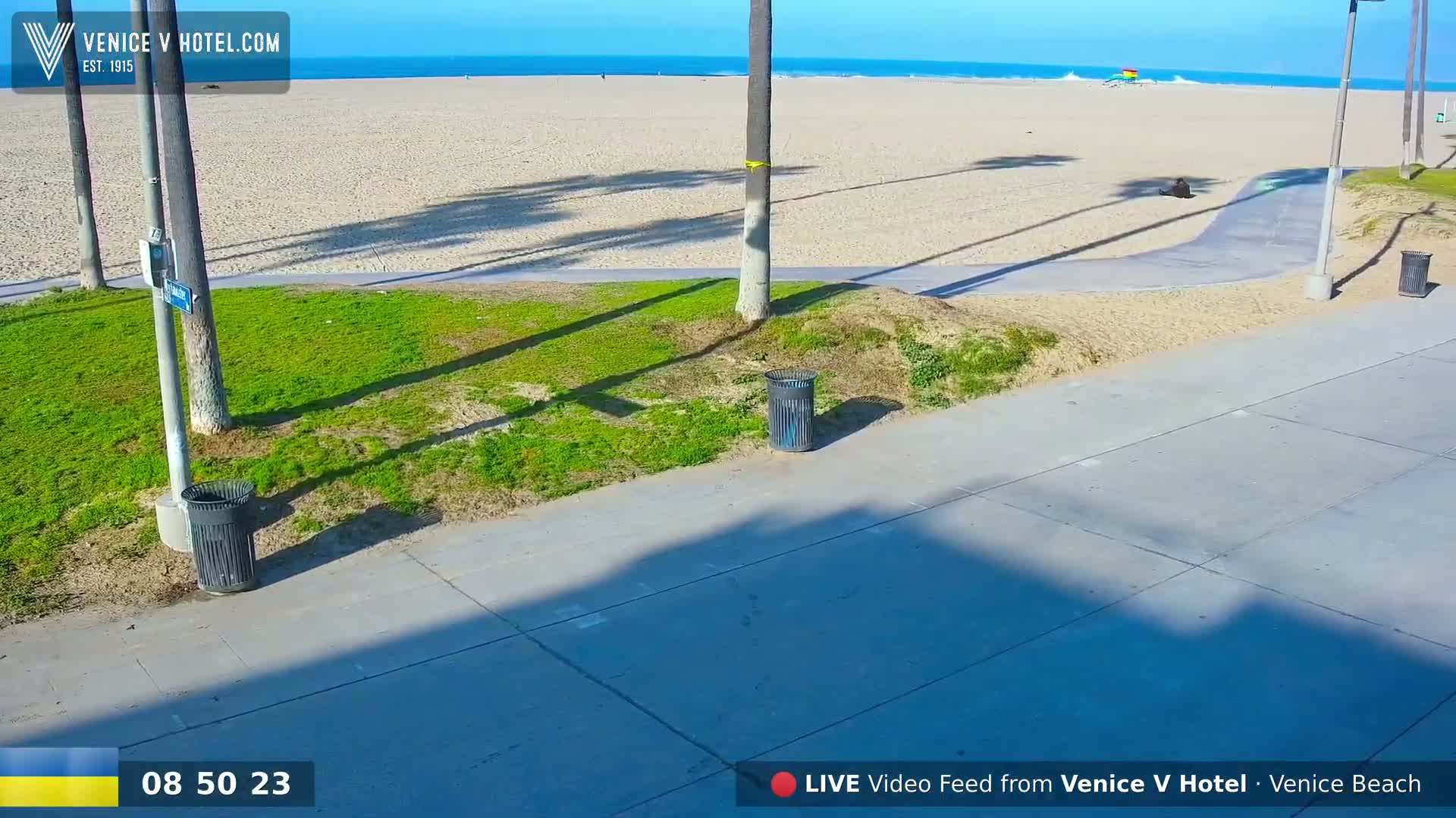 A sunny beach scene shows a paved walkway next to a grassy area, with palm trees casting shadows on the sand and ocean in the background.