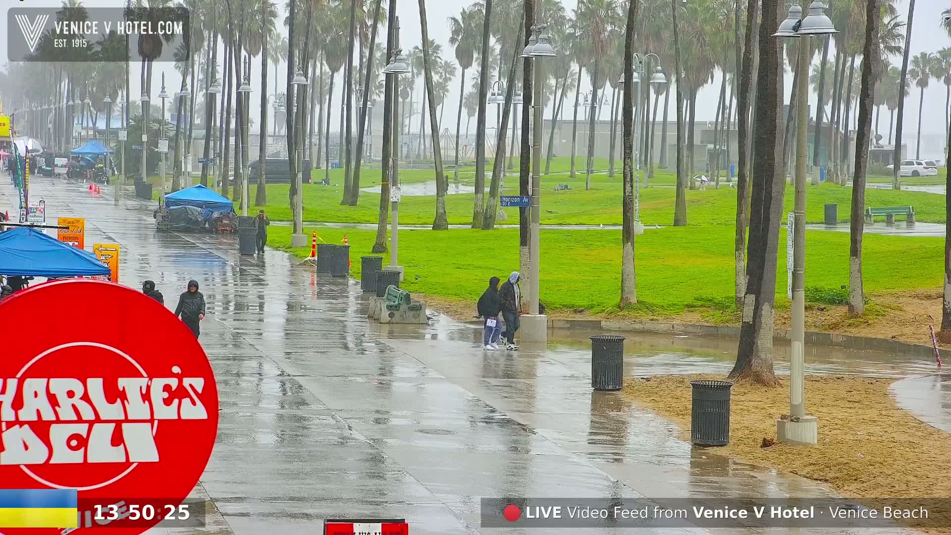 Venice Beach Live Cam - Los Angeles, California, USA