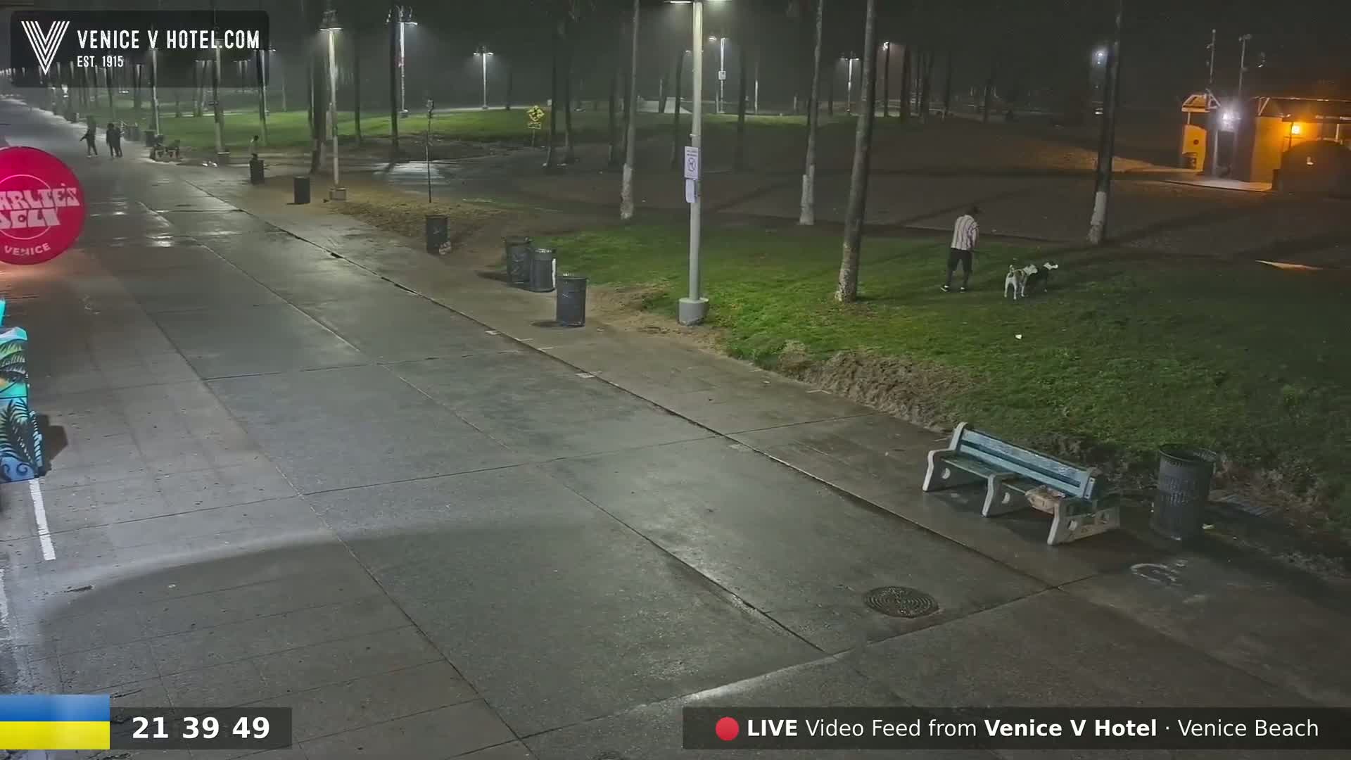 A wet, nighttime street scene shows a person walking two dogs in a grassy park next to a sidewalk with some trash cans and a bench.