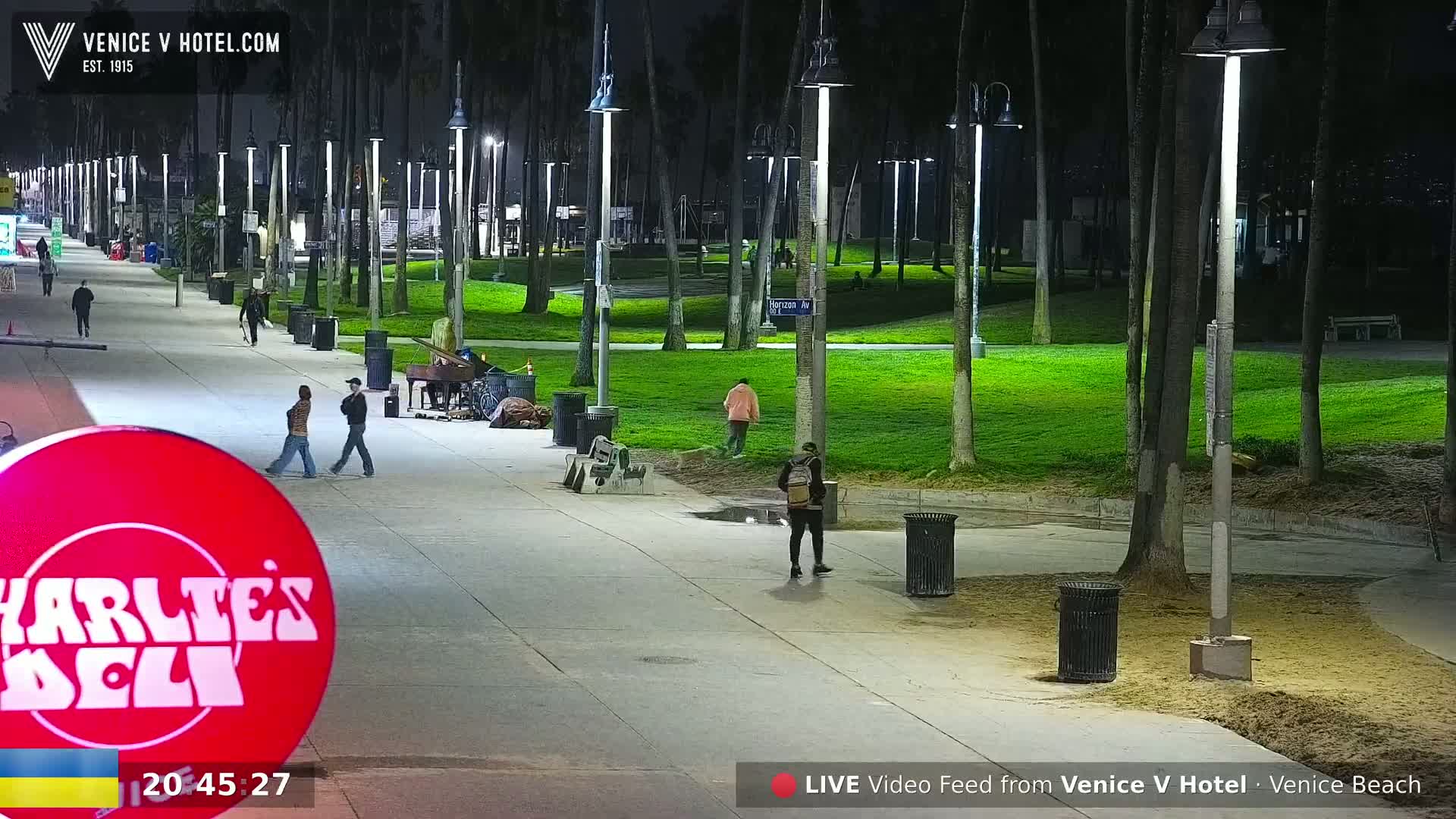 A nighttime scene shows a paved walkway alongside a grassy park with palm trees, streetlights, and several people walking.