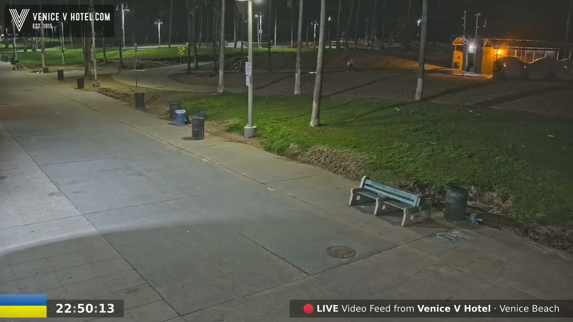 A nighttime view of a paved walkway next to a grassy area with trees, a bench, and trash cans under artificial light.