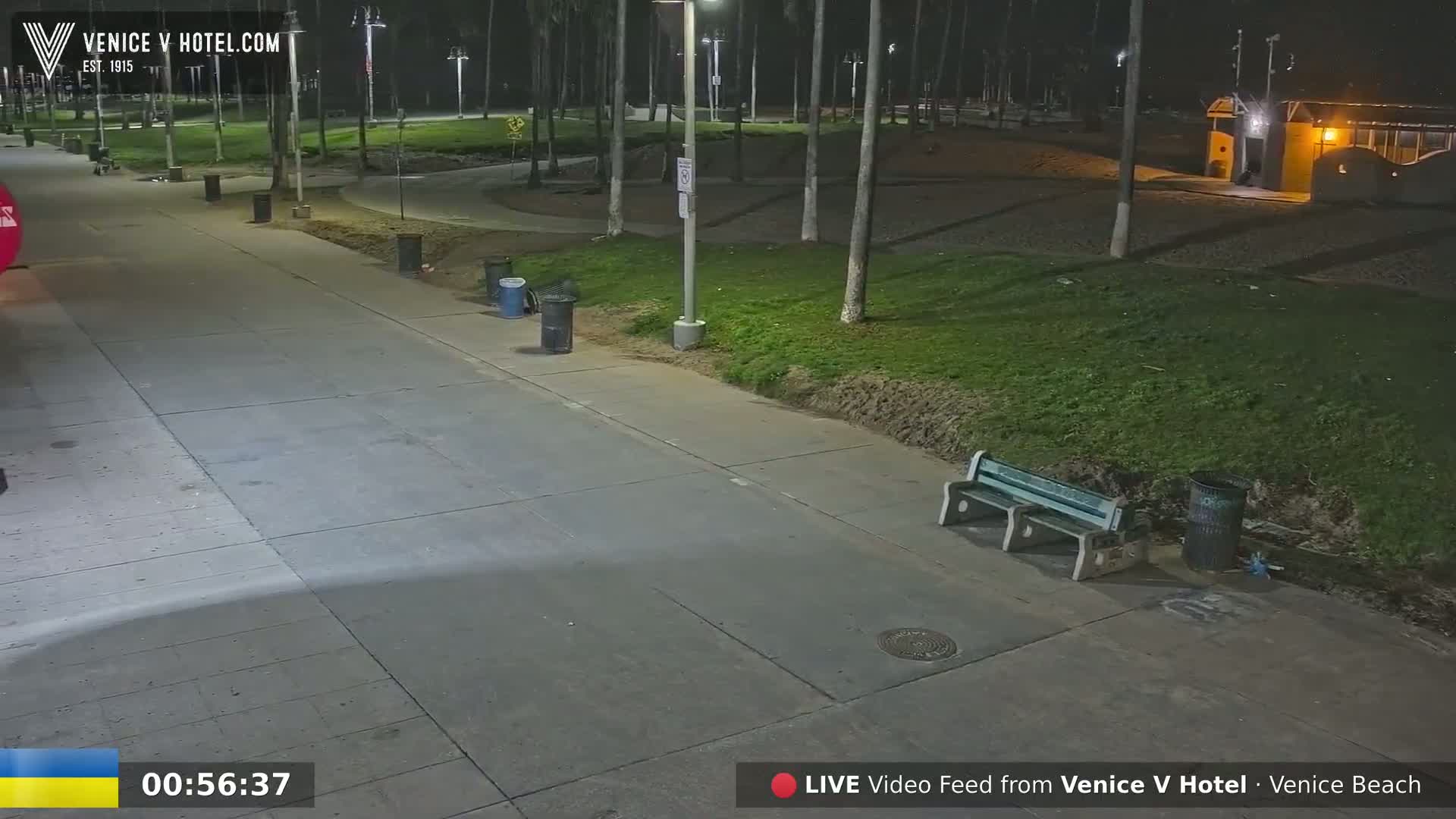 A nighttime view of a paved walkway, lined with trash cans and a bench, next to a grassy area with palm trees under artificial light.