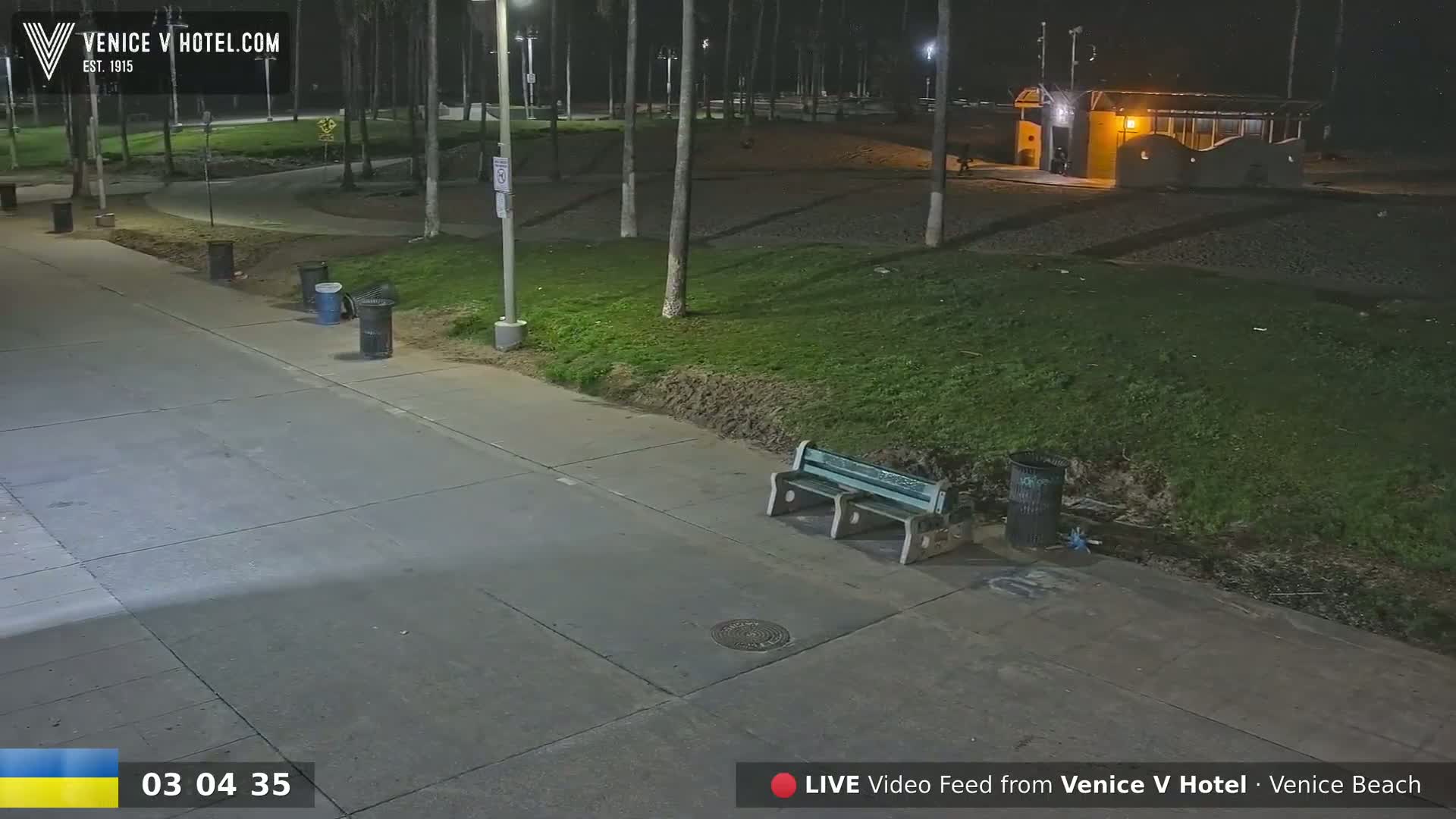 A nighttime view of a paved walkway, a park with grassy areas, a bench, and trash cans, under artificial lighting.
