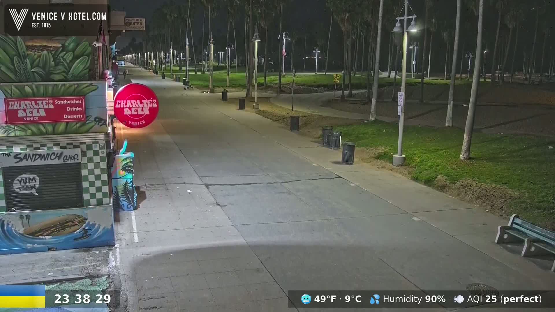 A nighttime view of a mostly empty paved walkway lined with palm trees, bordered by grassy areas and a brightly lit deli.