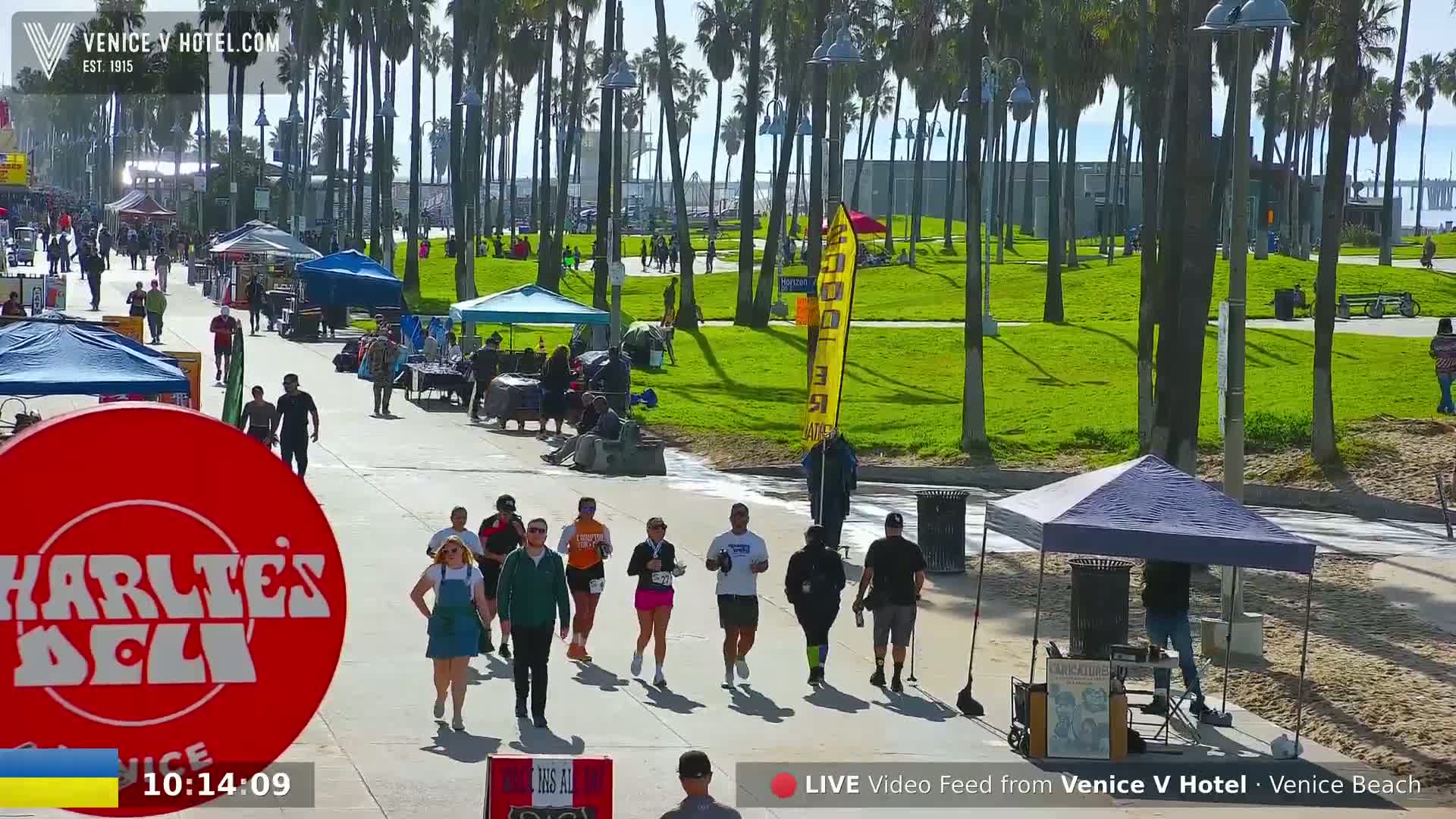 A sunny day on a beachfront boardwalk shows people walking among various vendors and small businesses under palm trees with a grassy area beyond.