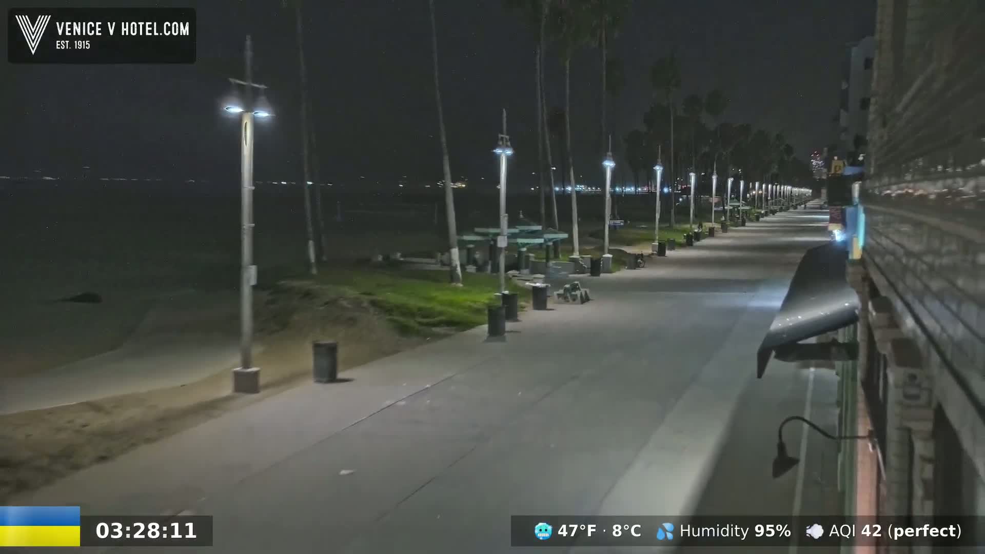 A nighttime view of a beachfront boardwalk with palm trees, streetlights, and a mostly empty paved path under a clear sky.