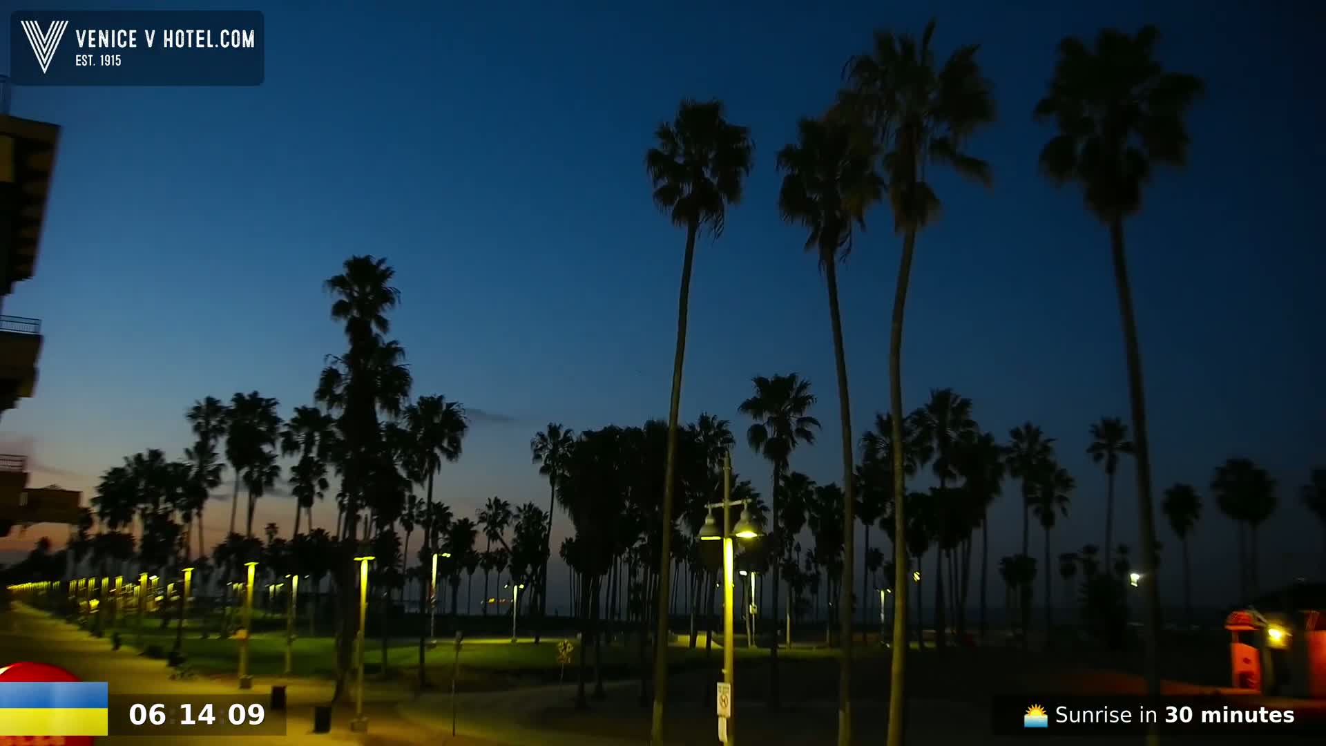 A nighttime scene shows a line of palm trees along a walkway near a beach under a dark blue pre-dawn sky.