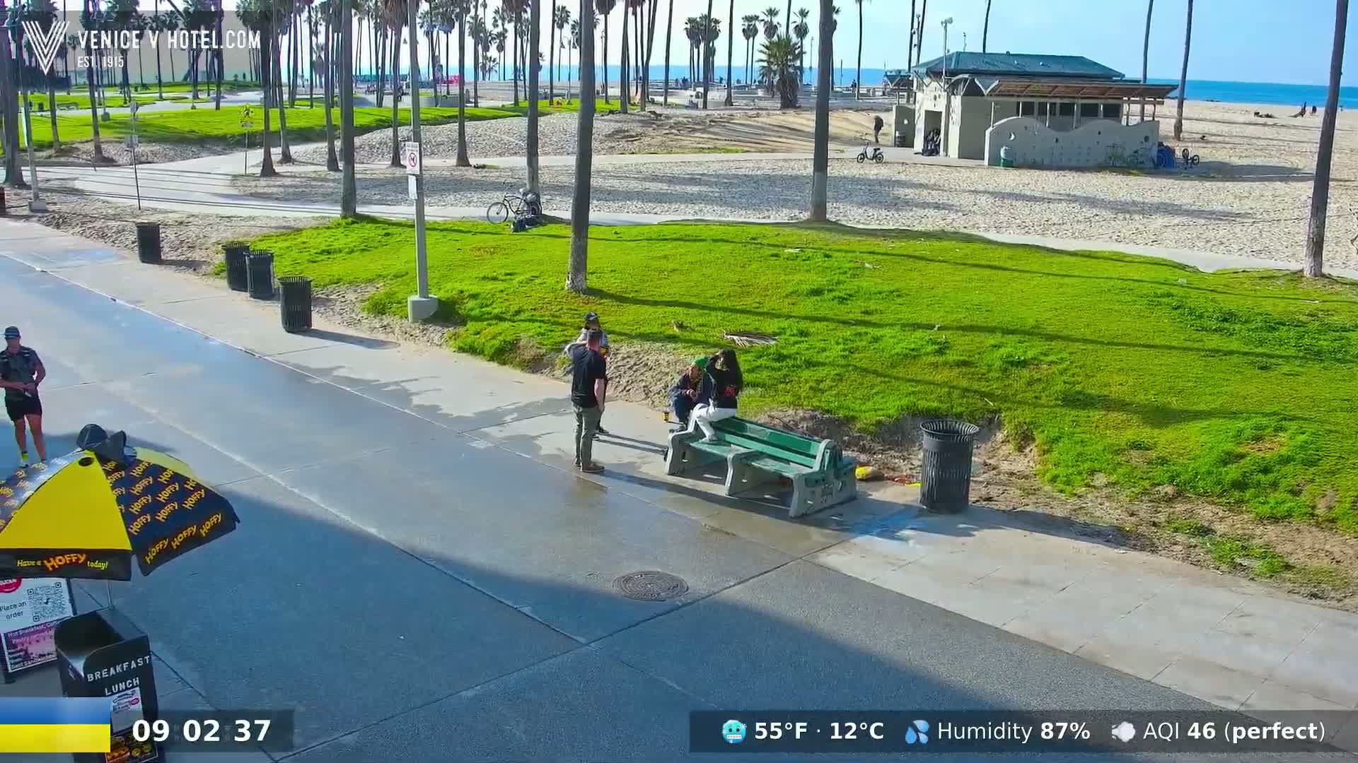 A sunny beach scene shows a paved walkway next to a grassy area with palm trees, people sitting on a bench, and a beach in the background.
