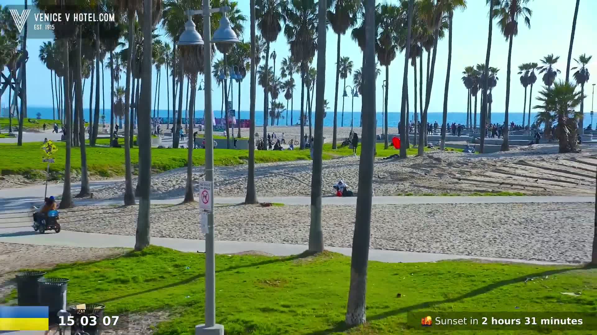 A sunny beach scene shows a sandy path bordered by green grass and palm trees, with people scattered on the beach and along the path, and a calm ocean in the background.