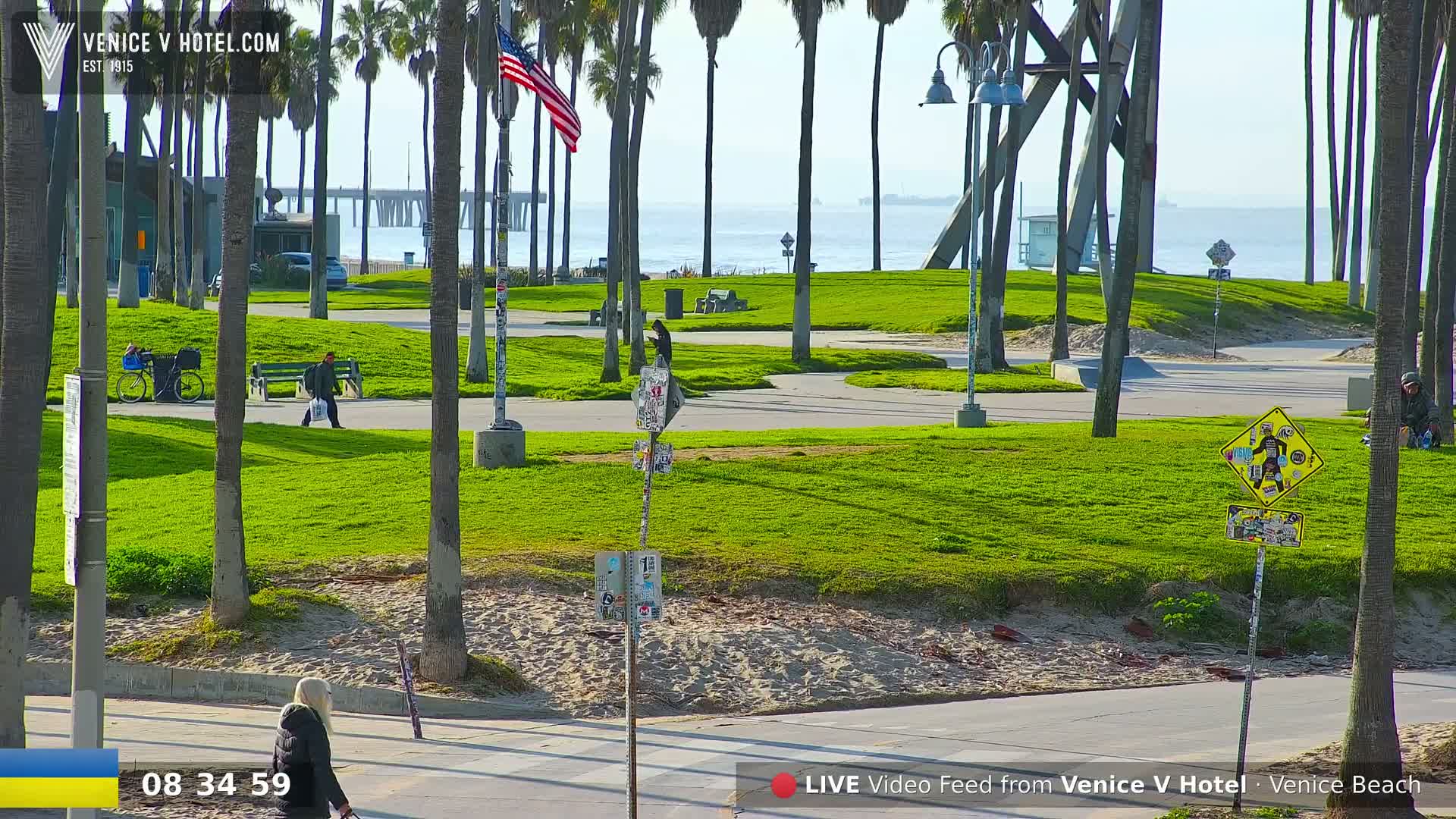 A sunny beach scene shows a grassy park area with palm trees, a pedestrian path, and a person walking near the ocean, a pier in the distance.