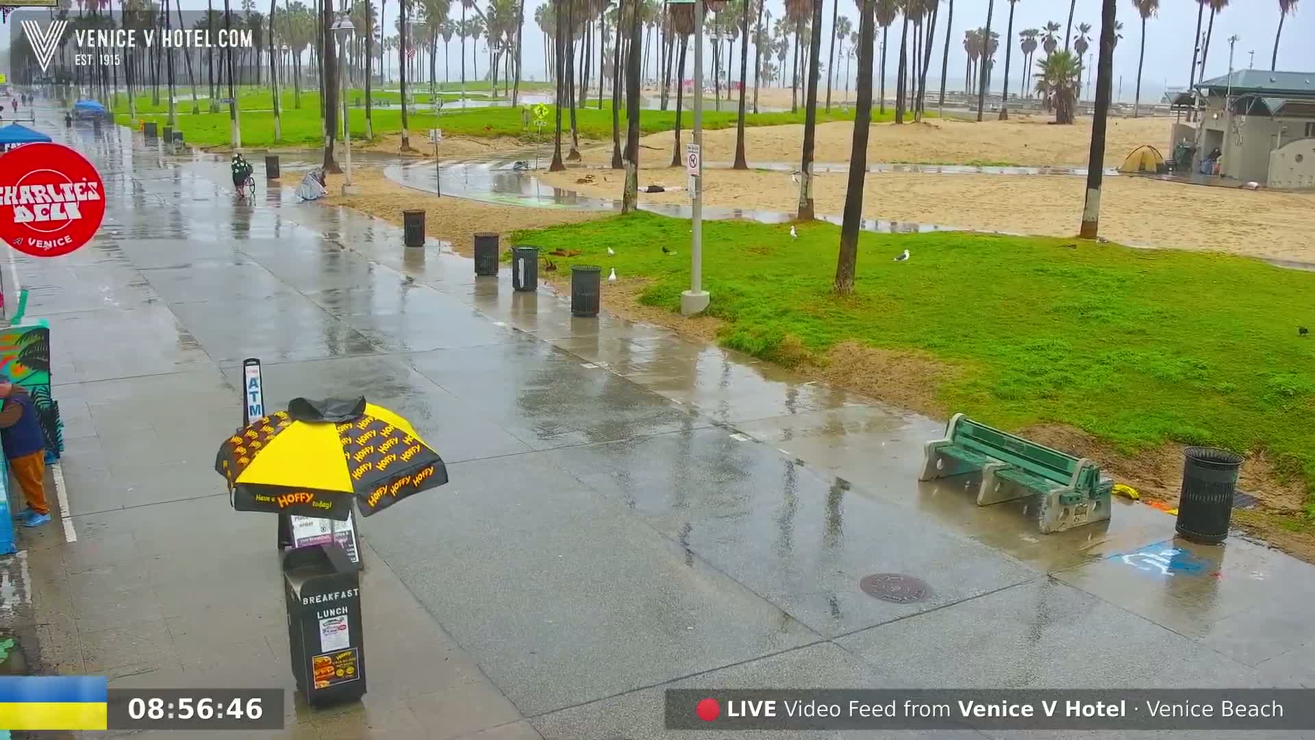 A wet, paved walkway lines a grassy area with palm trees and a beach in the background, under a rainy sky.