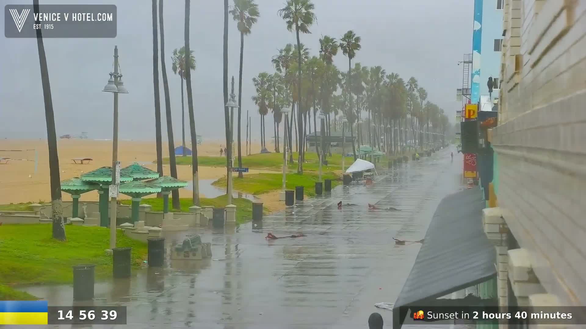 A rain-soaked boardwalk with palm trees and a beach in the background, flooded by heavy rainfall.