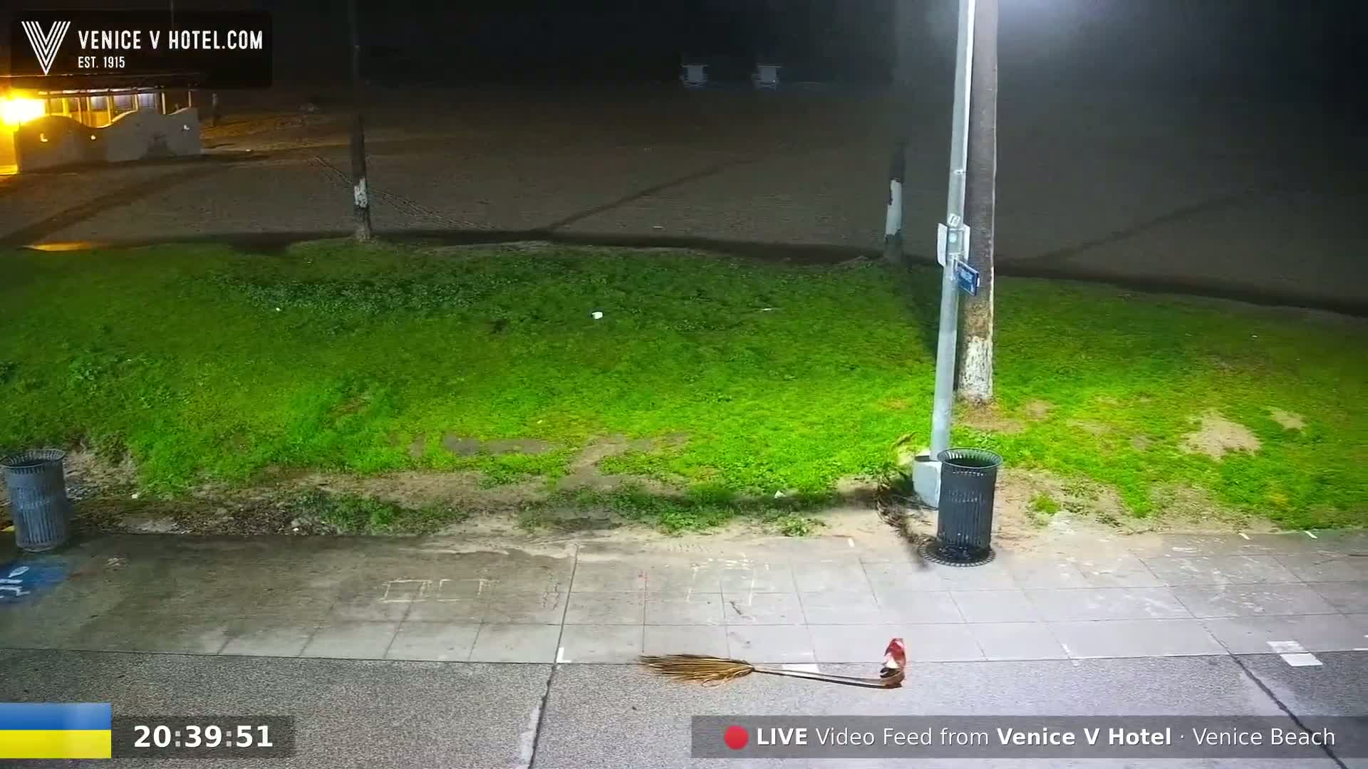 A nighttime view of a grassy area next to a sidewalk, illuminated by a streetlight, with trash cans and a broom lying on the ground.