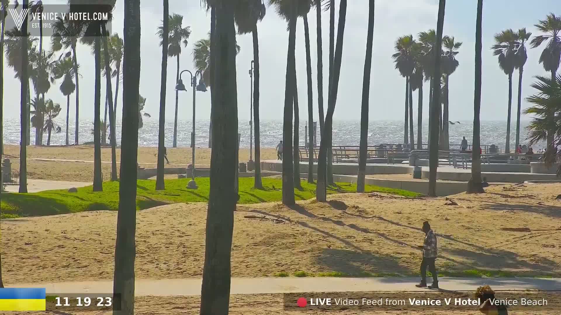 A sandy beach with palm trees, a boardwalk, and a person walking is shown on a partly sunny and windy day.