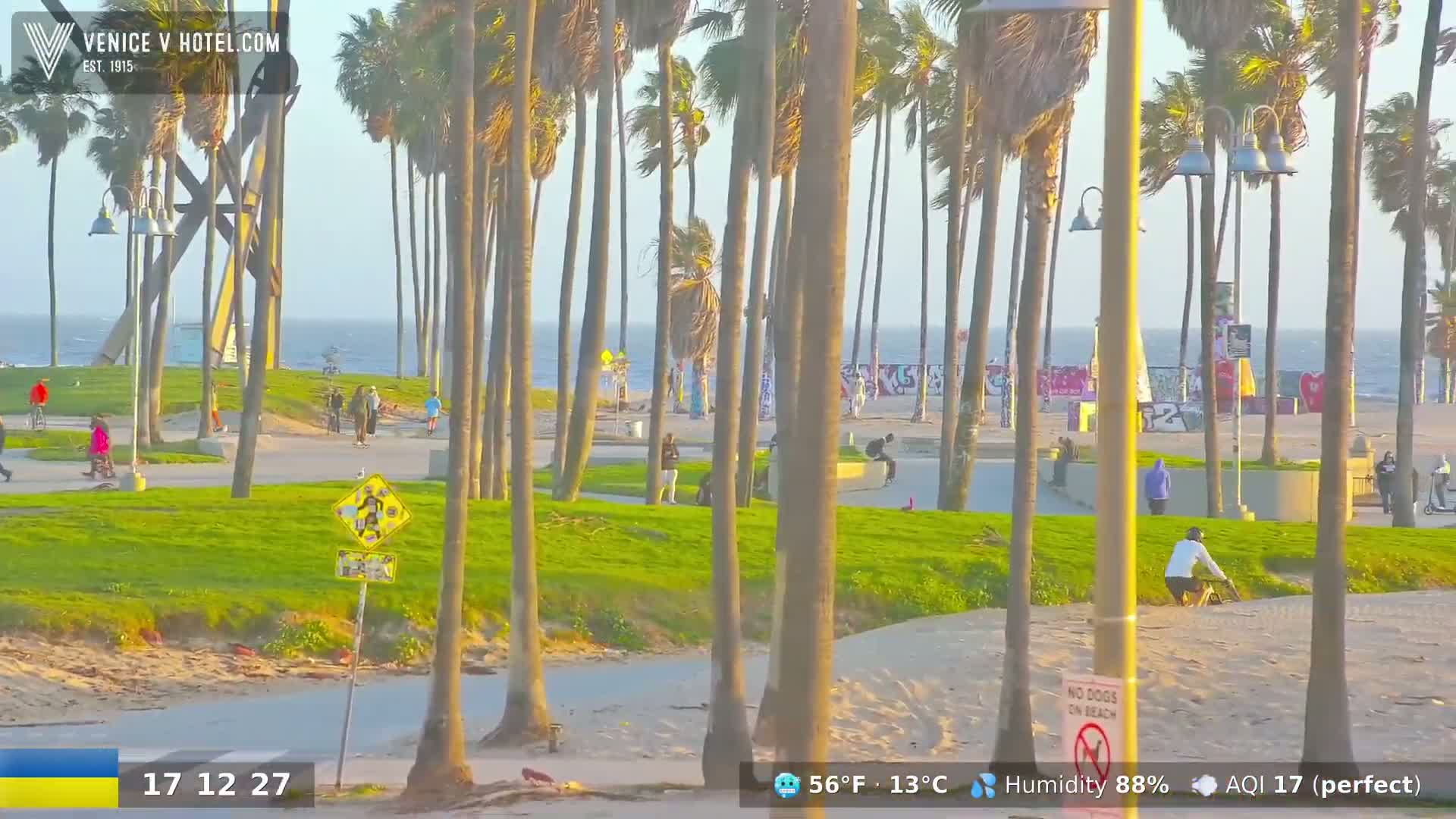 A sunny beach scene with palm trees, people walking and biking on a paved path, and a calm ocean in the background.