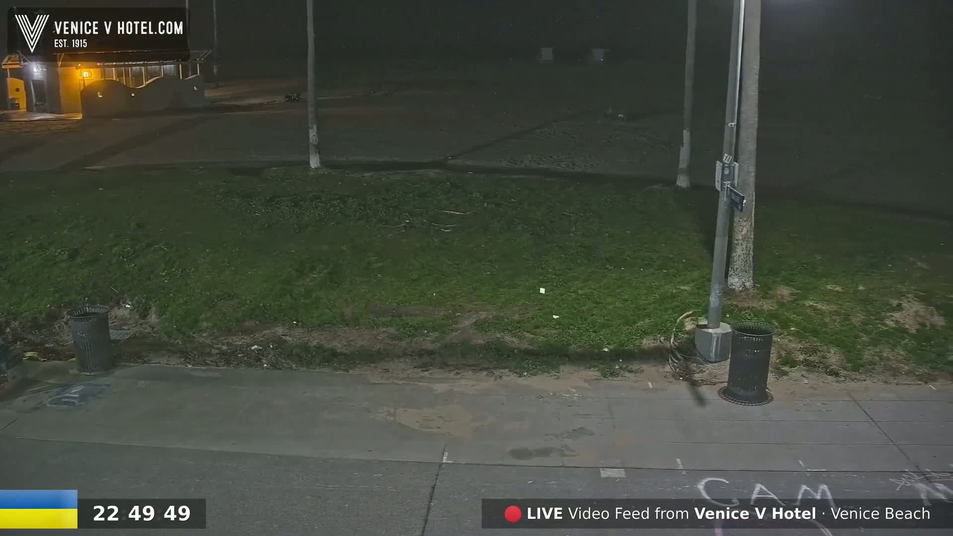 A nighttime, outdoor scene shows a grassy area next to a sidewalk, with trash cans and a light post visible under artificial light.
