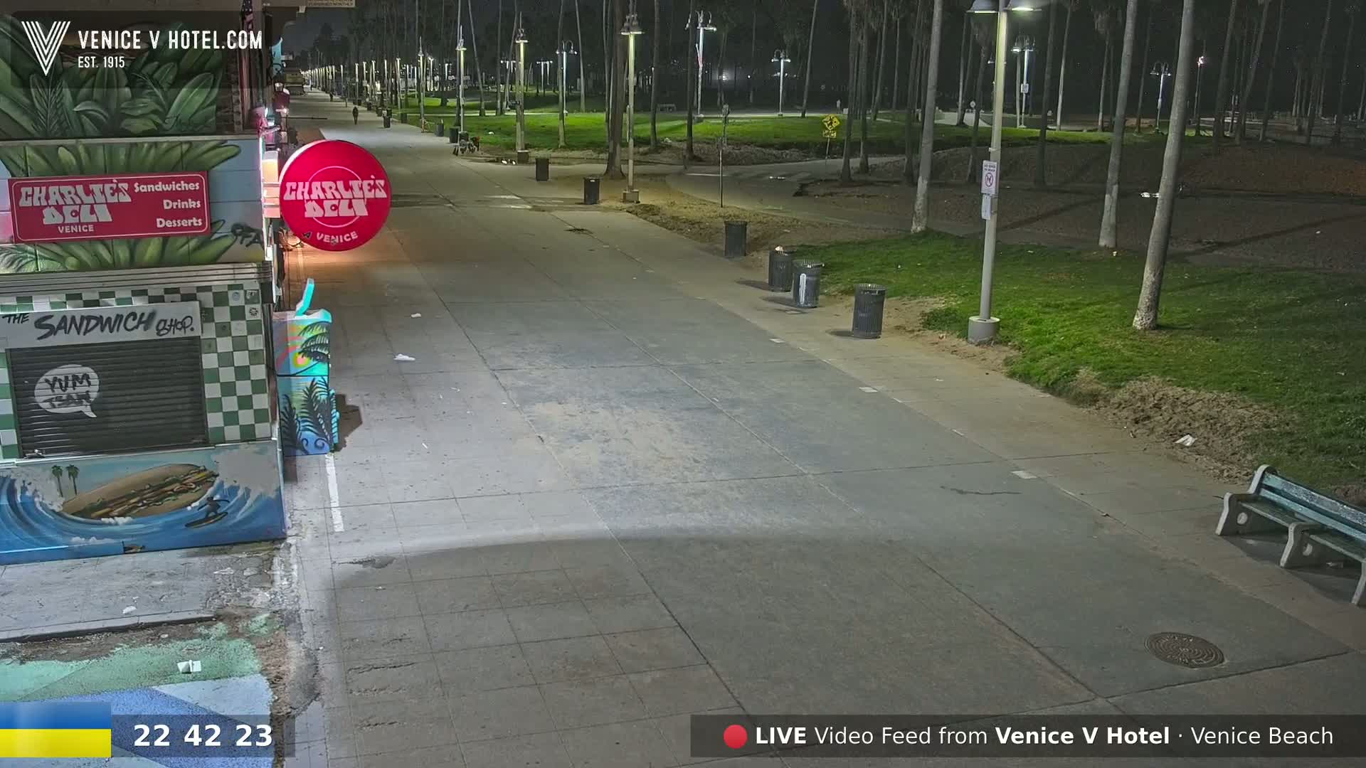 A mostly empty nighttime boardwalk stretches past grassy areas and palm trees, under artificial light.