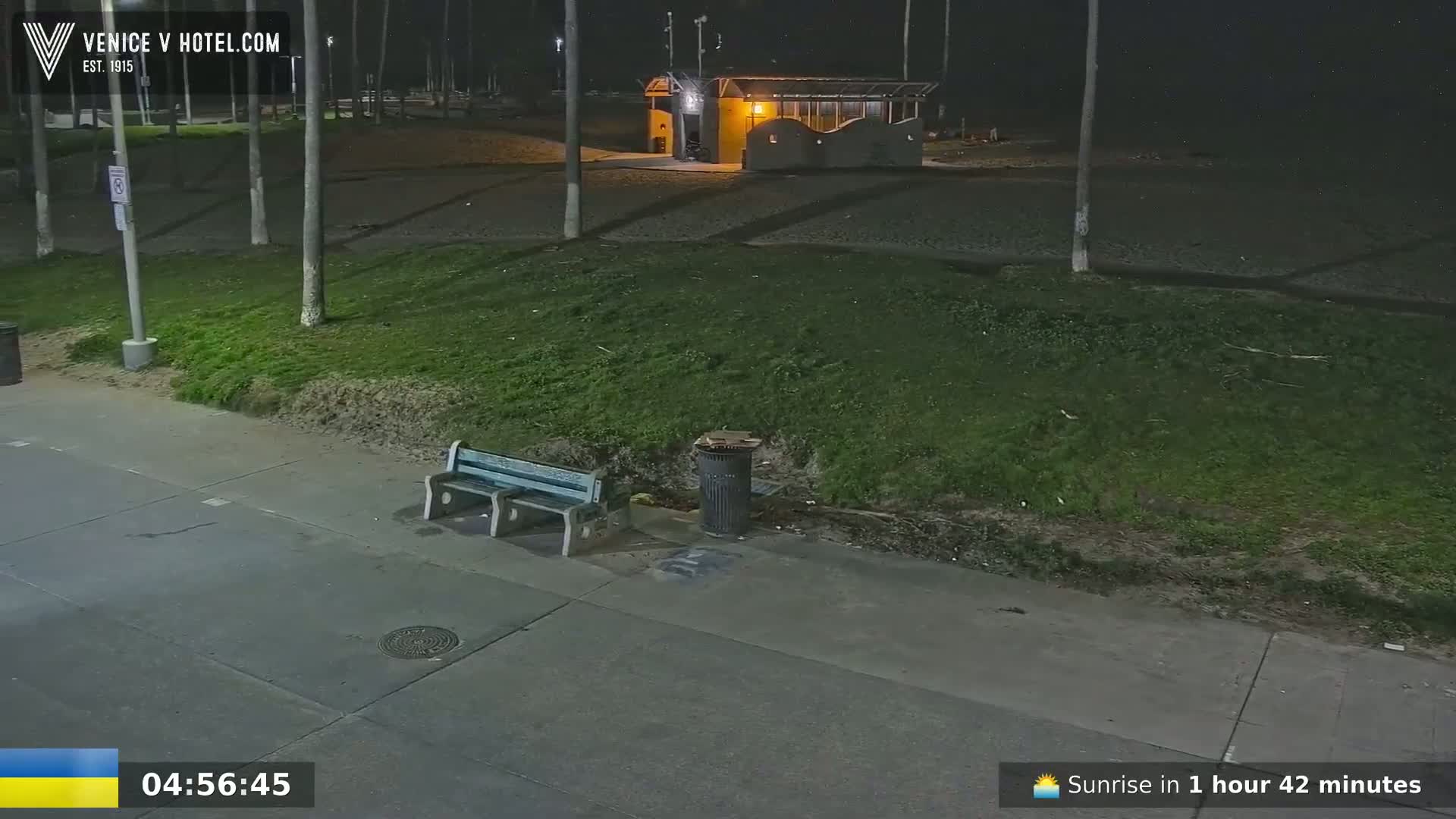 A nighttime view of a paved walkway, a grassy area, a small building, and a bench, under dark conditions.