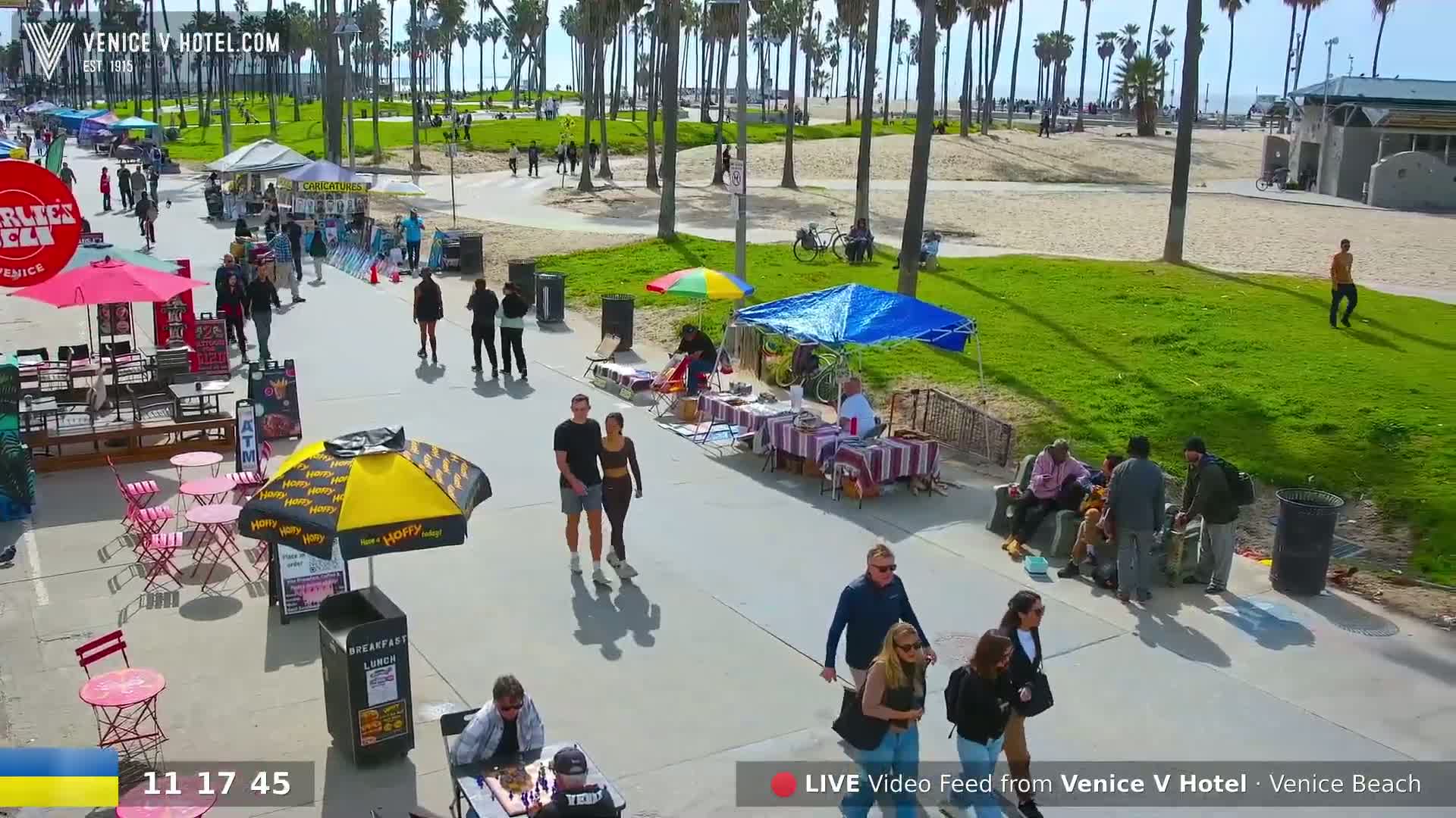 A sunny Venice Beach boardwalk scene shows numerous people walking, vendors selling goods under various umbrellas and canopies, and a grassy area with palm trees.