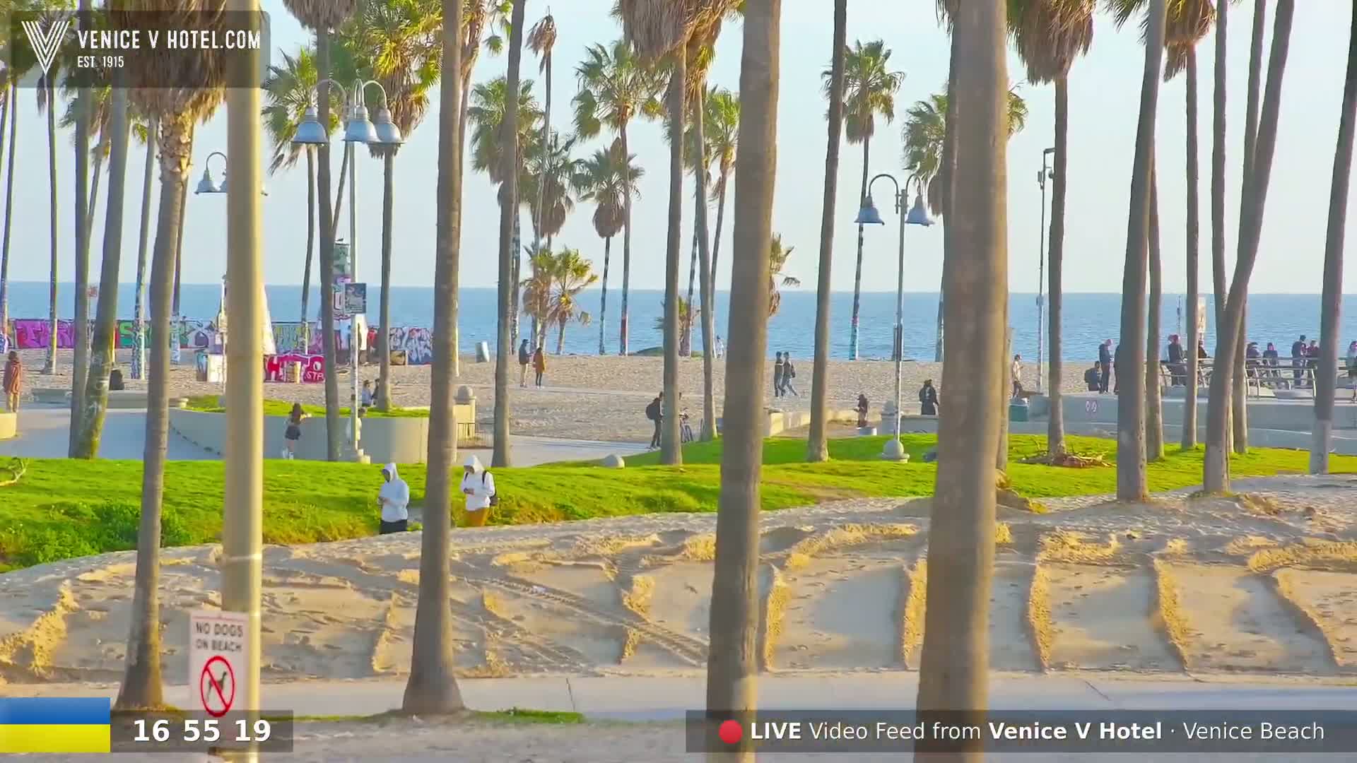 A sandy beach with palm trees, people walking along the shore, and a calm ocean under a clear sky.