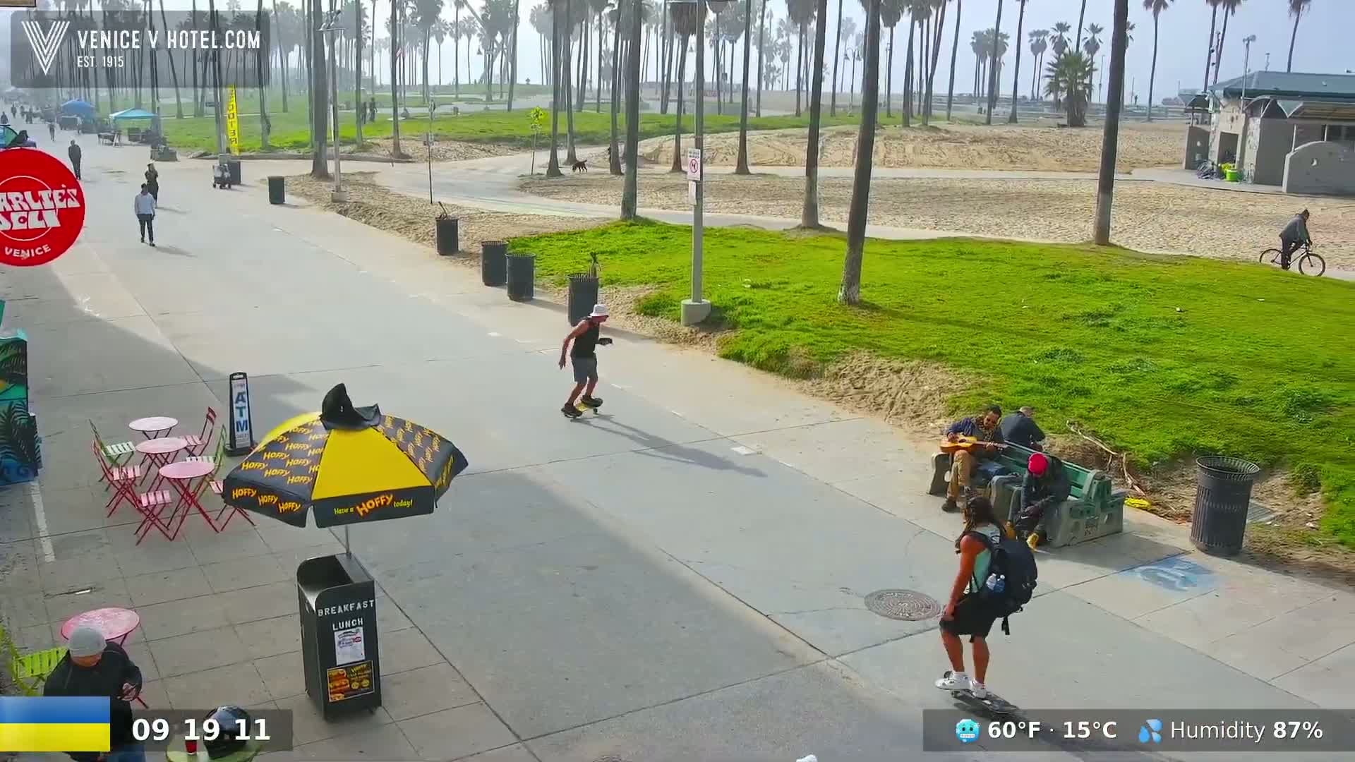 A sunny boardwalk scene shows people walking, skateboarding, and playing music, with palm trees lining a grassy area in the background.