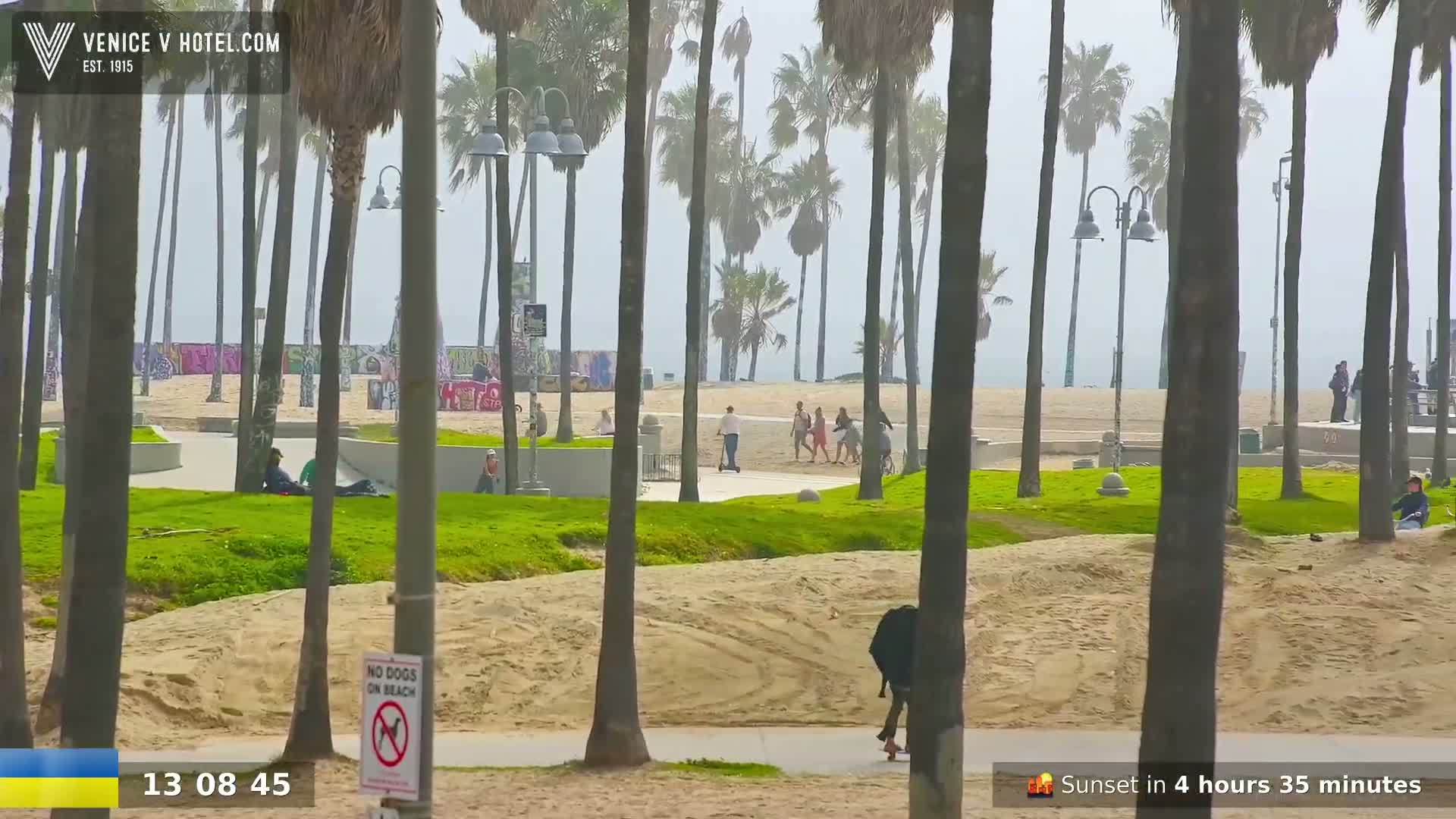 A hazy, sunny day at a beachside park shows people strolling, sitting, and skateboarding amidst palm trees, grassy areas, and sandy patches.