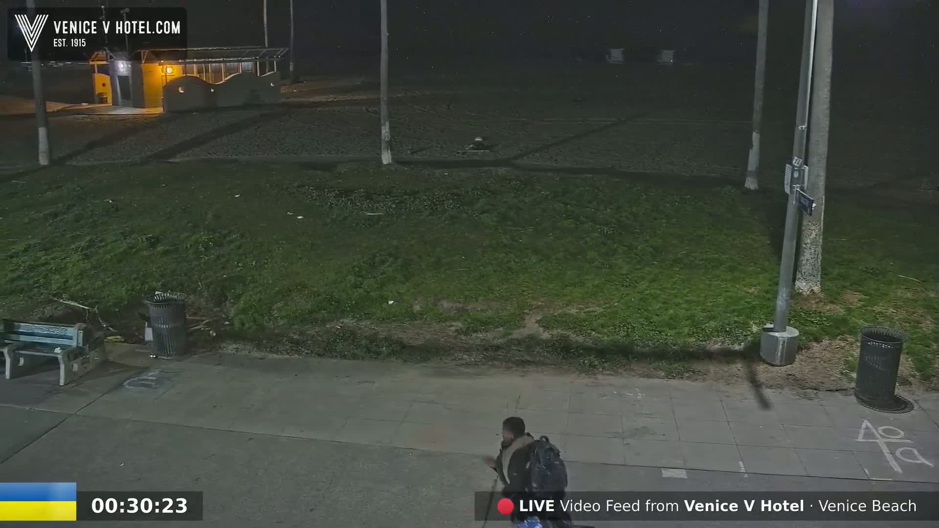 A person with a backpack walks on a sidewalk at night near a grassy area, a bench, and trash cans, under dark, clear skies.