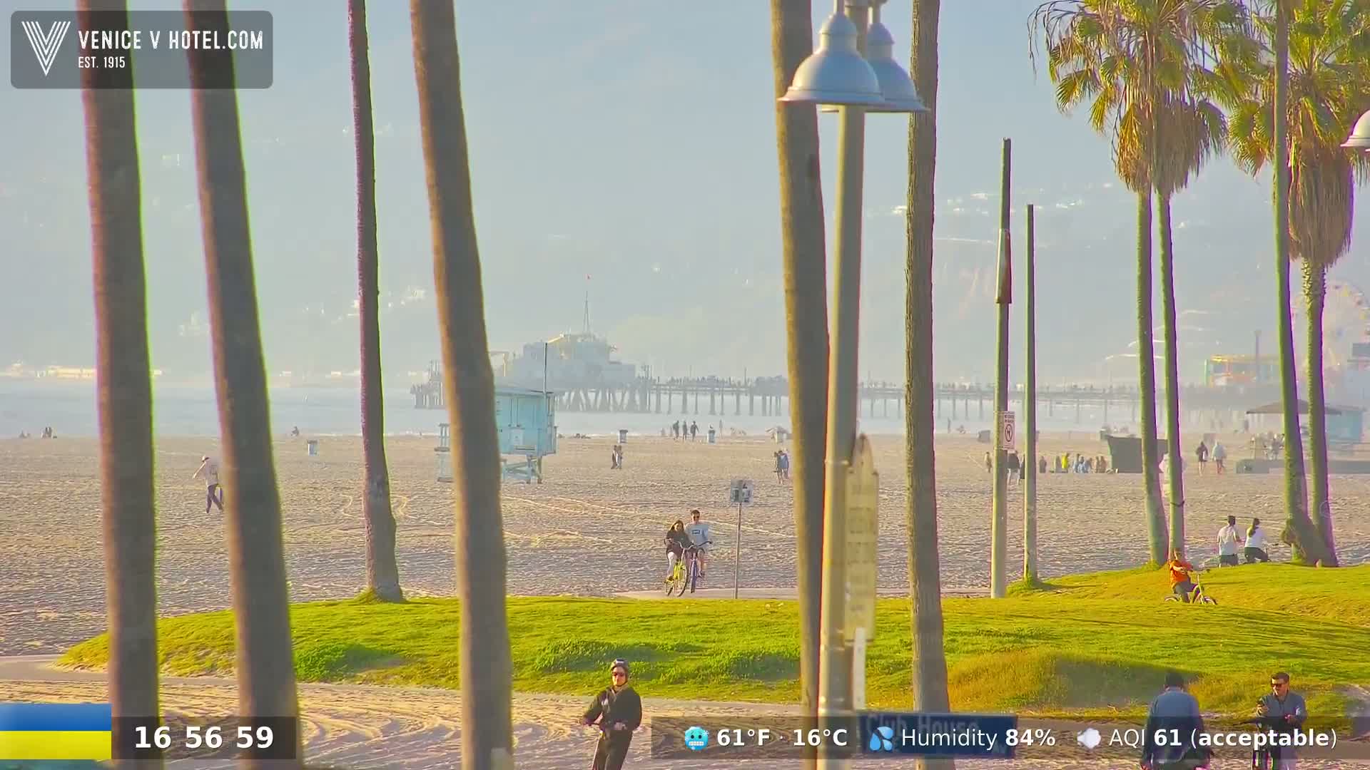 A hazy sunny day at a beach with a pier in the distance, palm trees in the foreground, and people enjoying the sand and grass.