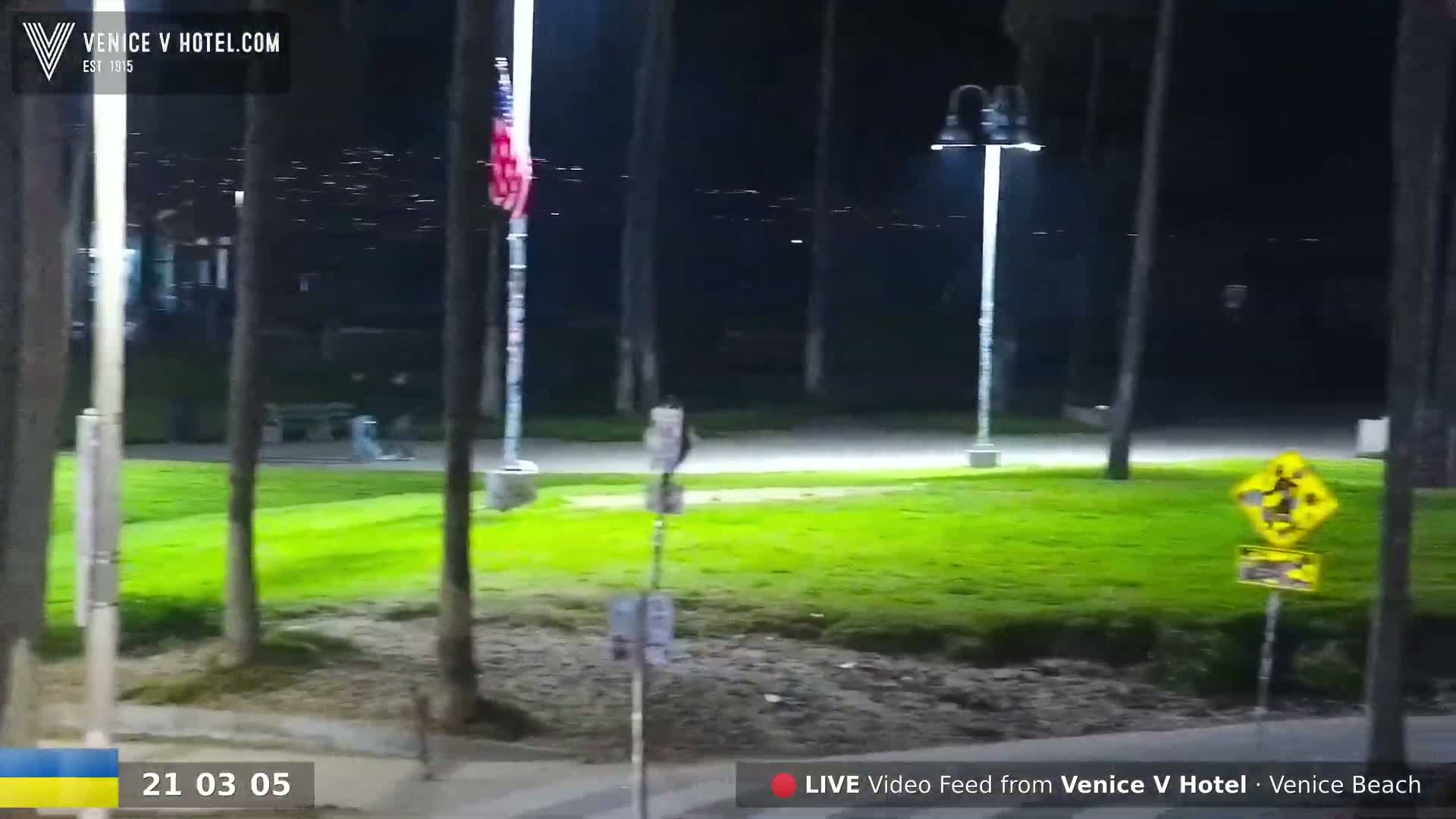 A nighttime view of a grassy area with a flagpole, streetlights, and a distant city skyline.