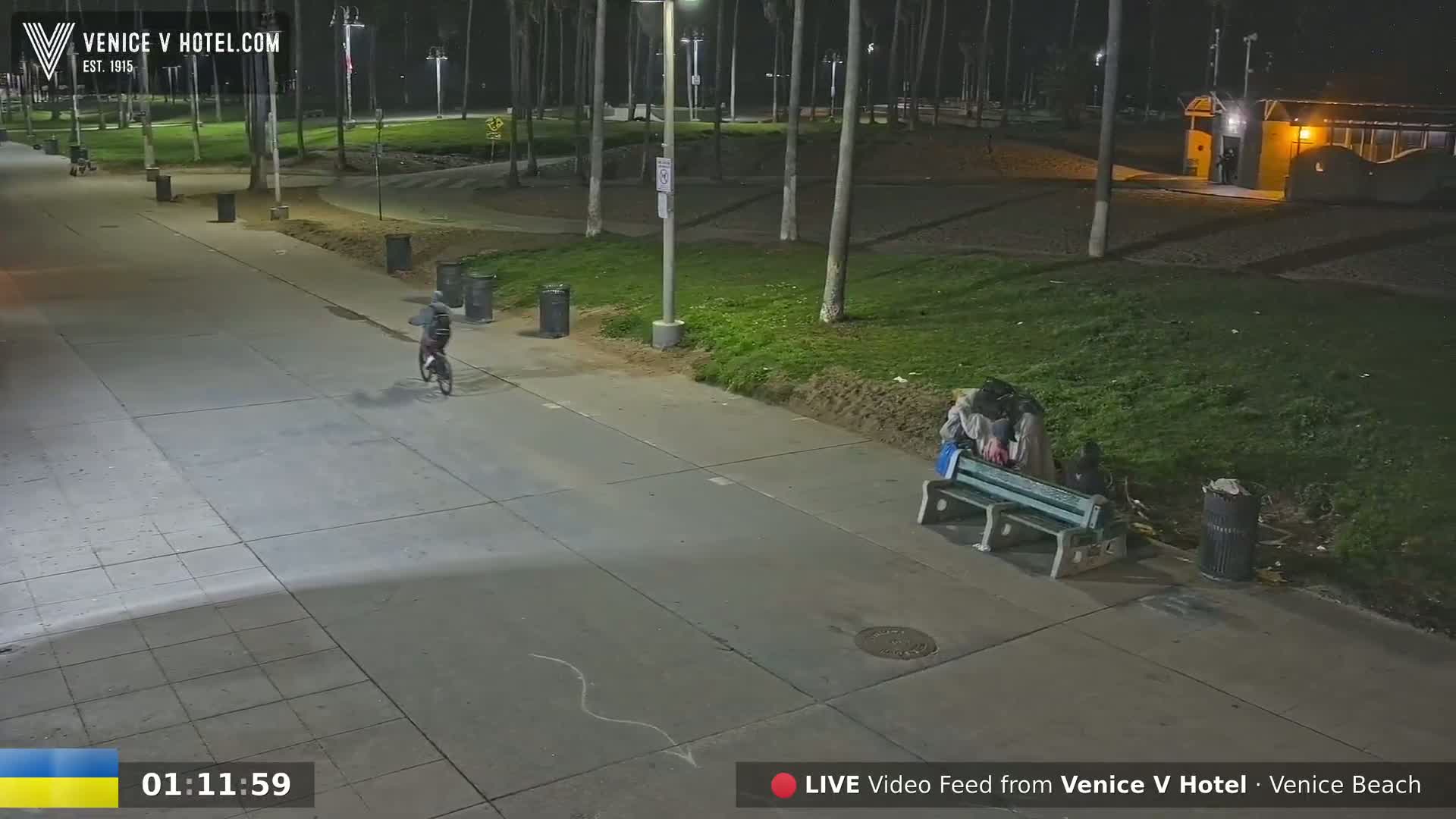 A person rides a bicycle on a paved walkway at night, past a person sitting on a bench next to trash cans under tall palm trees.