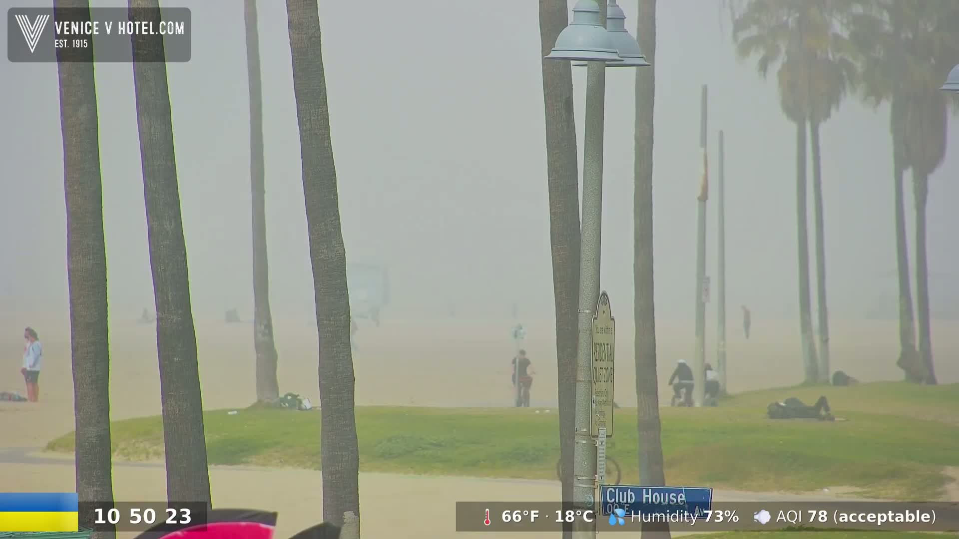 A hazy beach scene shows palm trees, people, and a sandy beach area with some people relaxing on the grass.