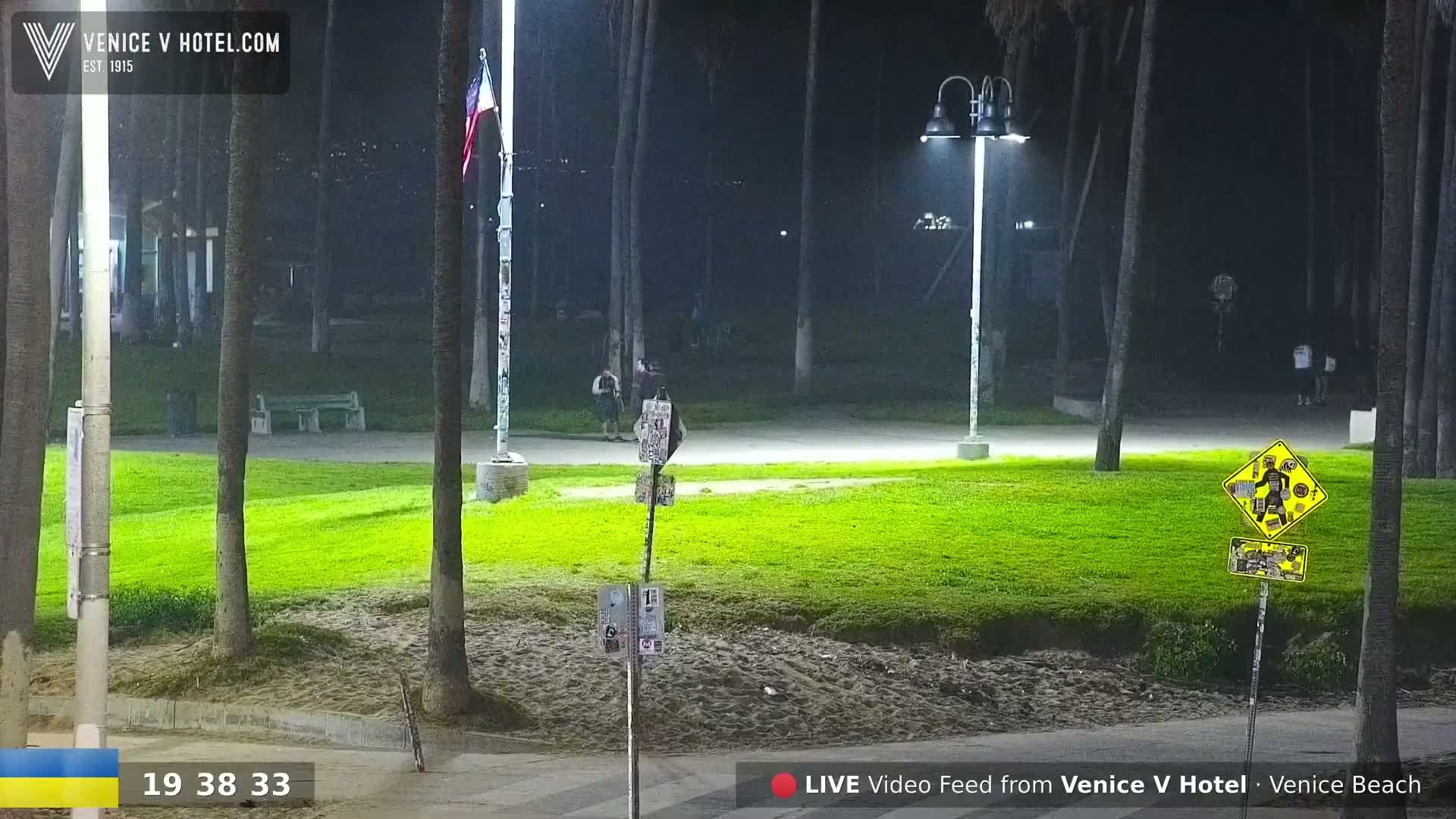 A nighttime view of a grassy area, illuminated by streetlights, with palm trees, a bench, and a few people visible under a clear sky.