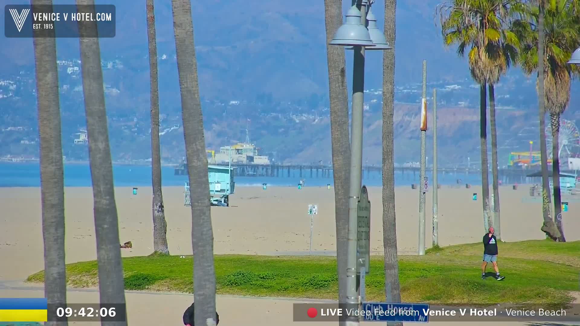 A sandy beach with a pier in the distance is viewed from behind several palm trees on a sunny day.