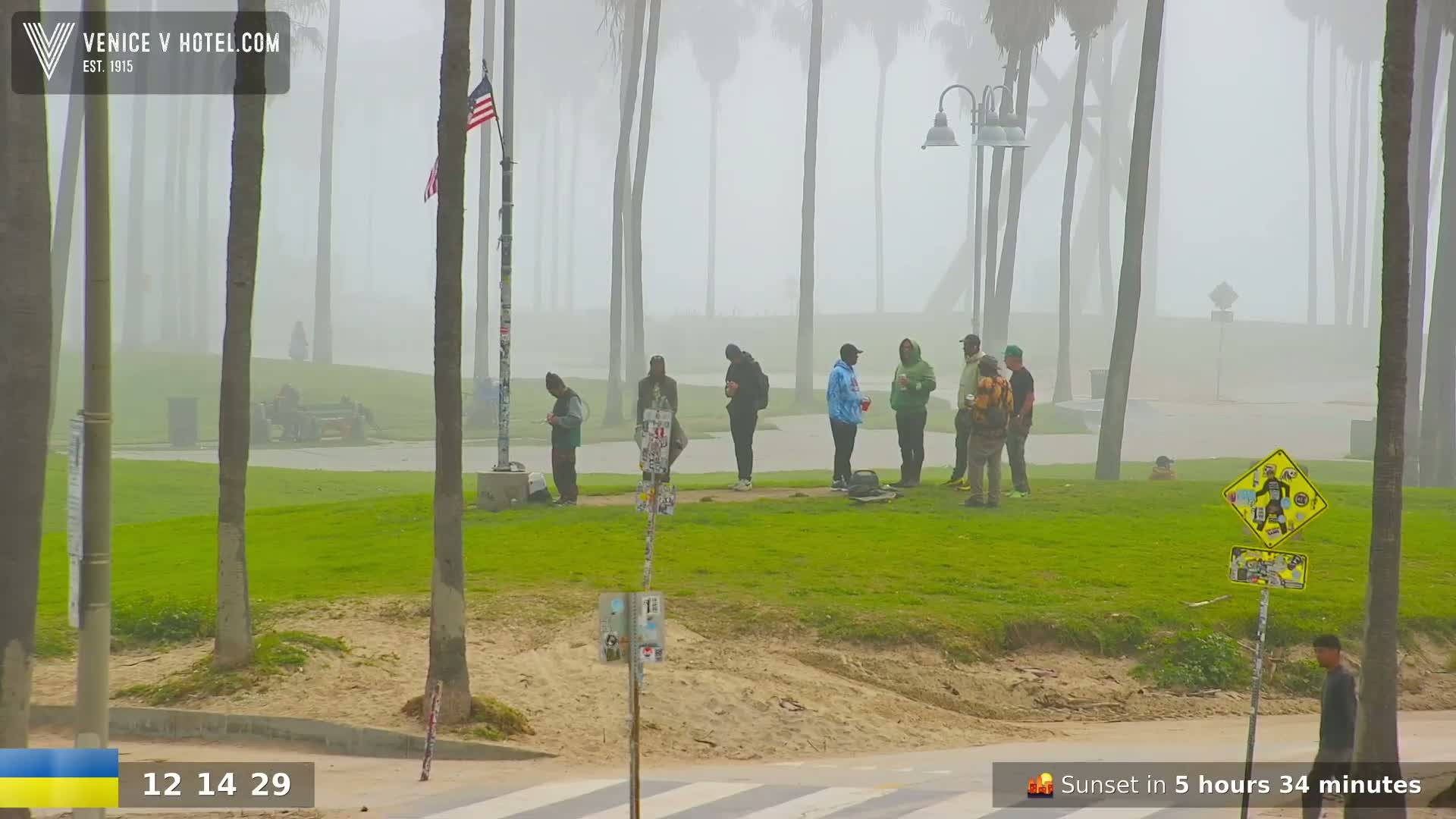 A group of people stand on a grassy area near a beach shrouded in fog, palm trees lining the background.