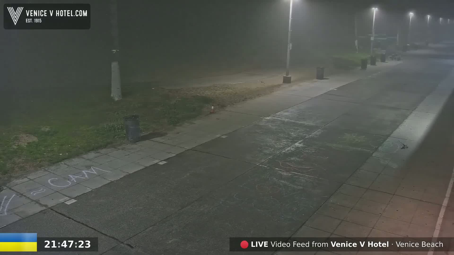 A foggy night scene shows a paved walkway and adjacent grassy area illuminated by streetlights.