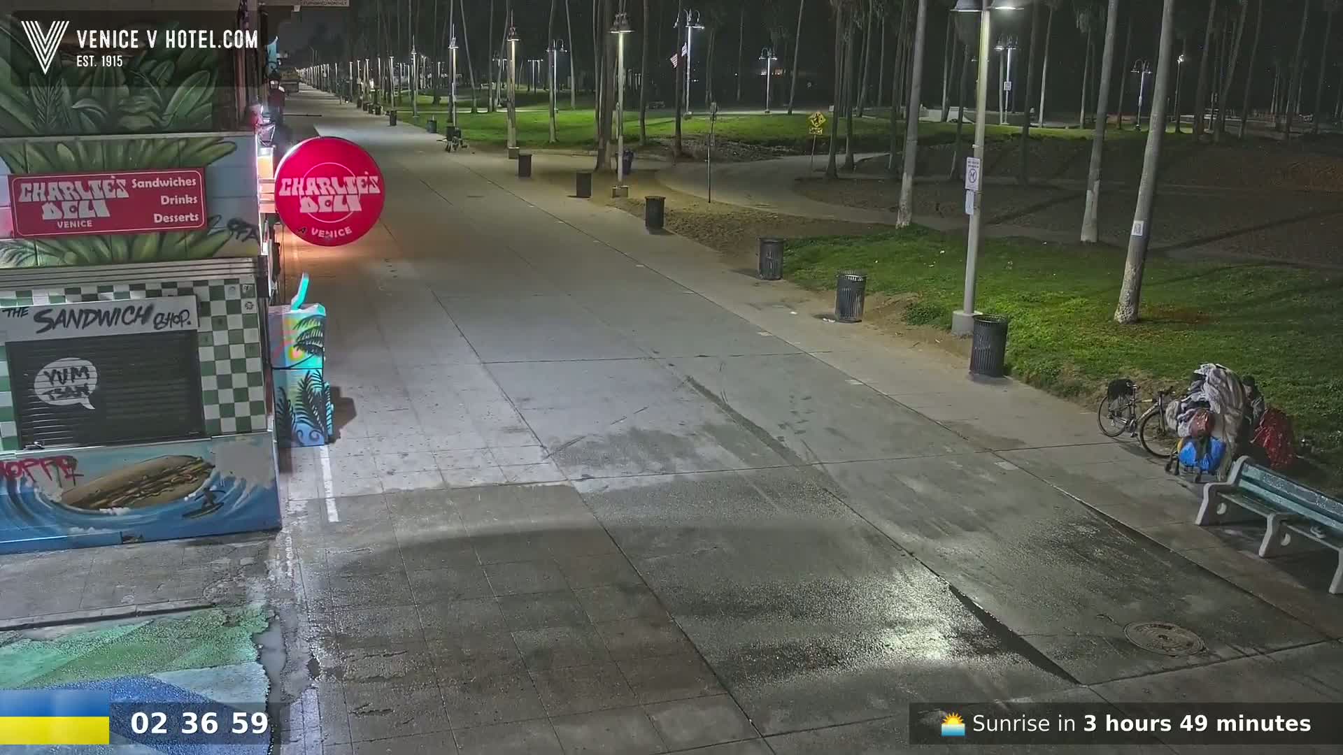 A nighttime view of a paved walkway lined with palm trees, showing a bike and person sitting on a bench near a food stand.