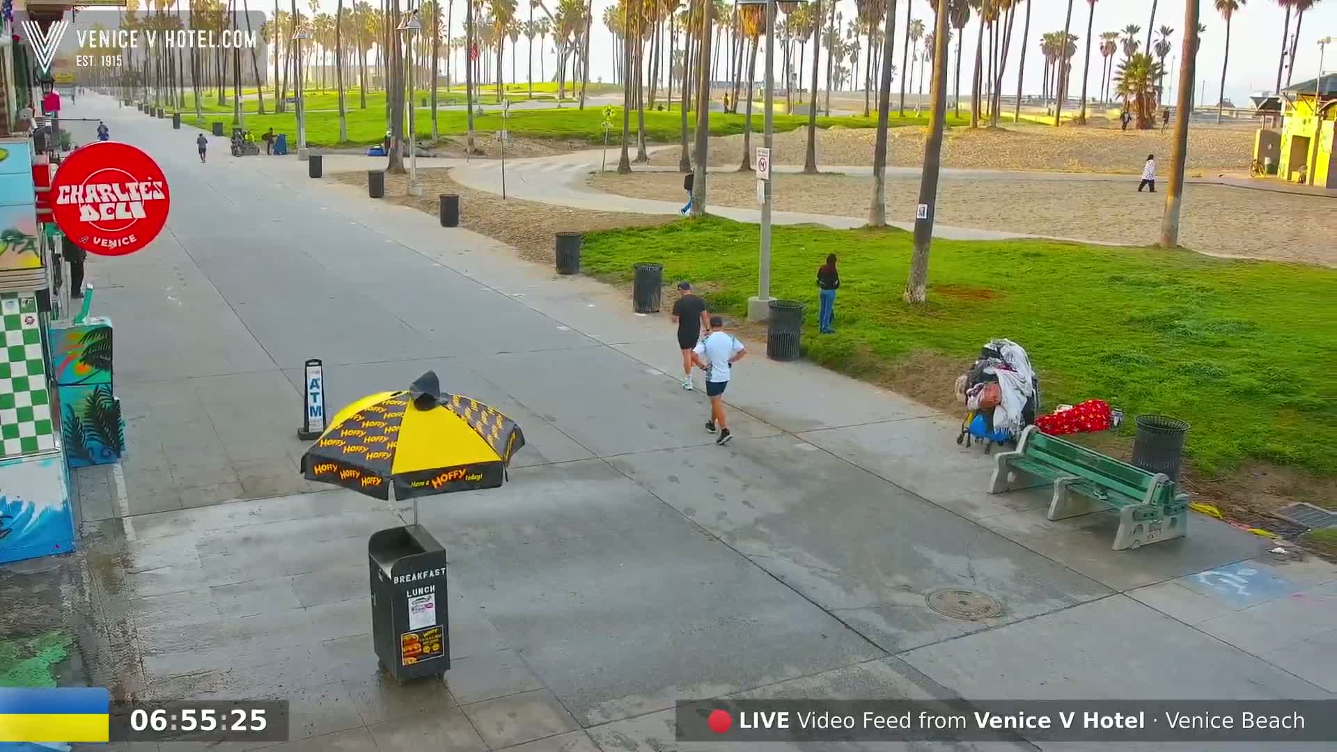 A paved walkway, bordered by grassy areas and palm trees, shows several people walking and jogging, with a person sleeping on a bench under a sunny sky.