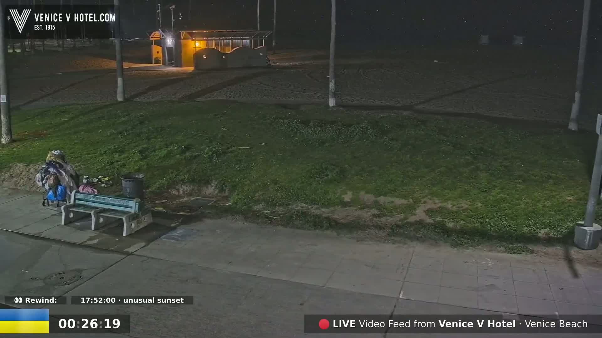 At night, a person sits on a bench near a trash can next to a grassy area and a sandy beach.