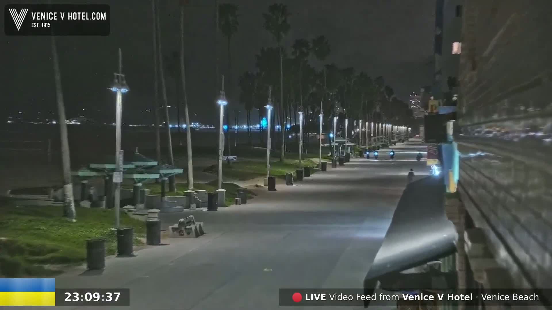 A nighttime view of a nearly deserted beachfront boardwalk lined with palm trees and lampposts, under a clear sky.