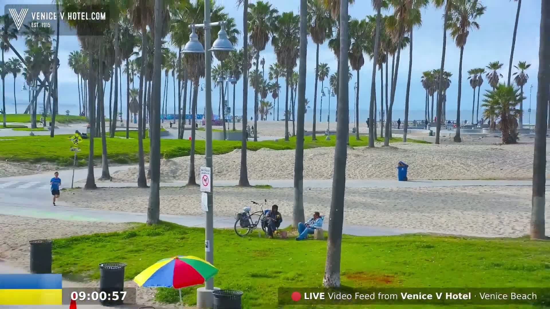 A sunny day at a beachside park shows palm trees, a sandy beach with people, a paved path, and several people relaxing on the grass.