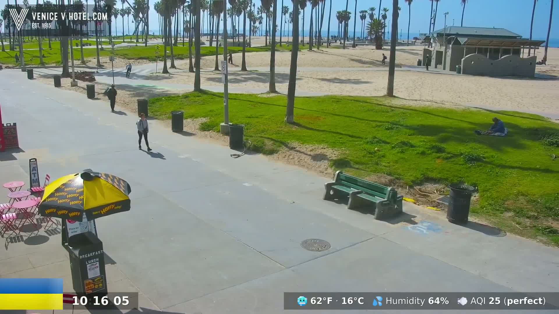 A paved walkway near a beach, lined with palm trees and grassy areas, shows a few pedestrians and a person sitting on the grass under a sunny sky.