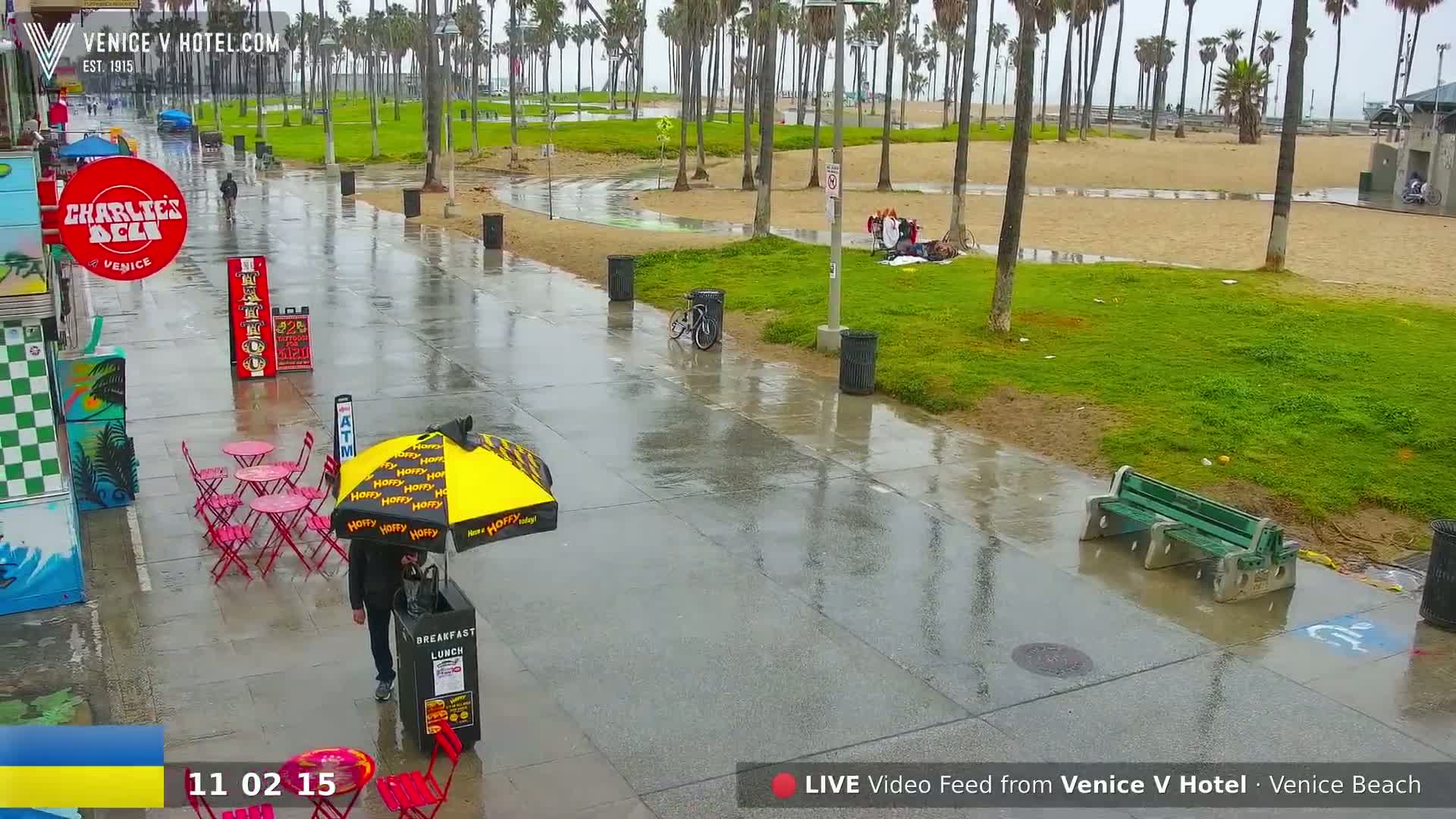 A wet boardwalk scene shows a beach with palm trees under a rainy sky; several people are visible, some sitting near the beach and others near small, red tables.