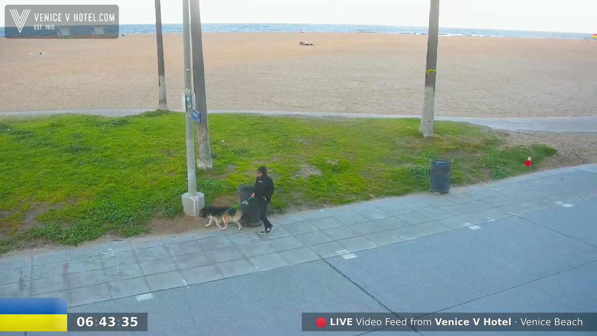 A person in dark clothing walks a dog on a leash along a sidewalk next to a grassy area and a beach under a partly cloudy sky.
