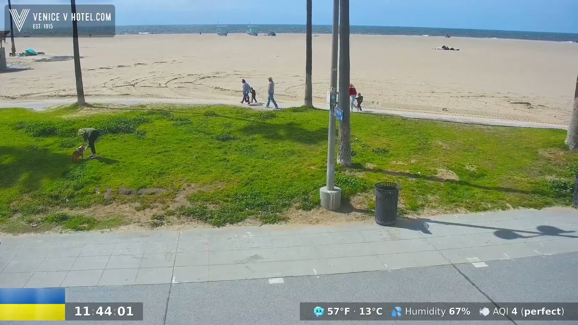 A sandy beach with a few people walking on it is visible from a grassy area with a person walking a dog and a trash can, under a sunny sky.