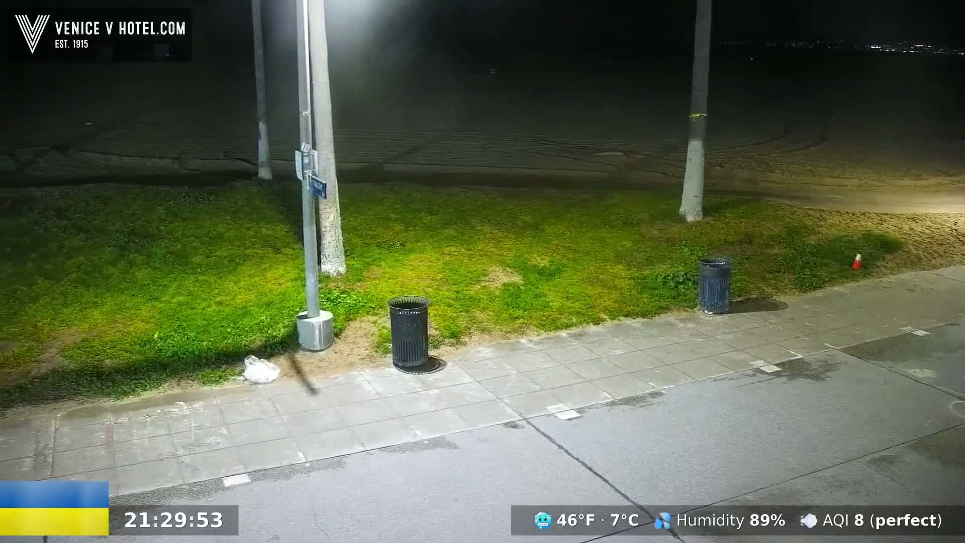 A nighttime view of a grassy area next to a sidewalk and beach, with trash cans and a light pole present, under a clear sky.