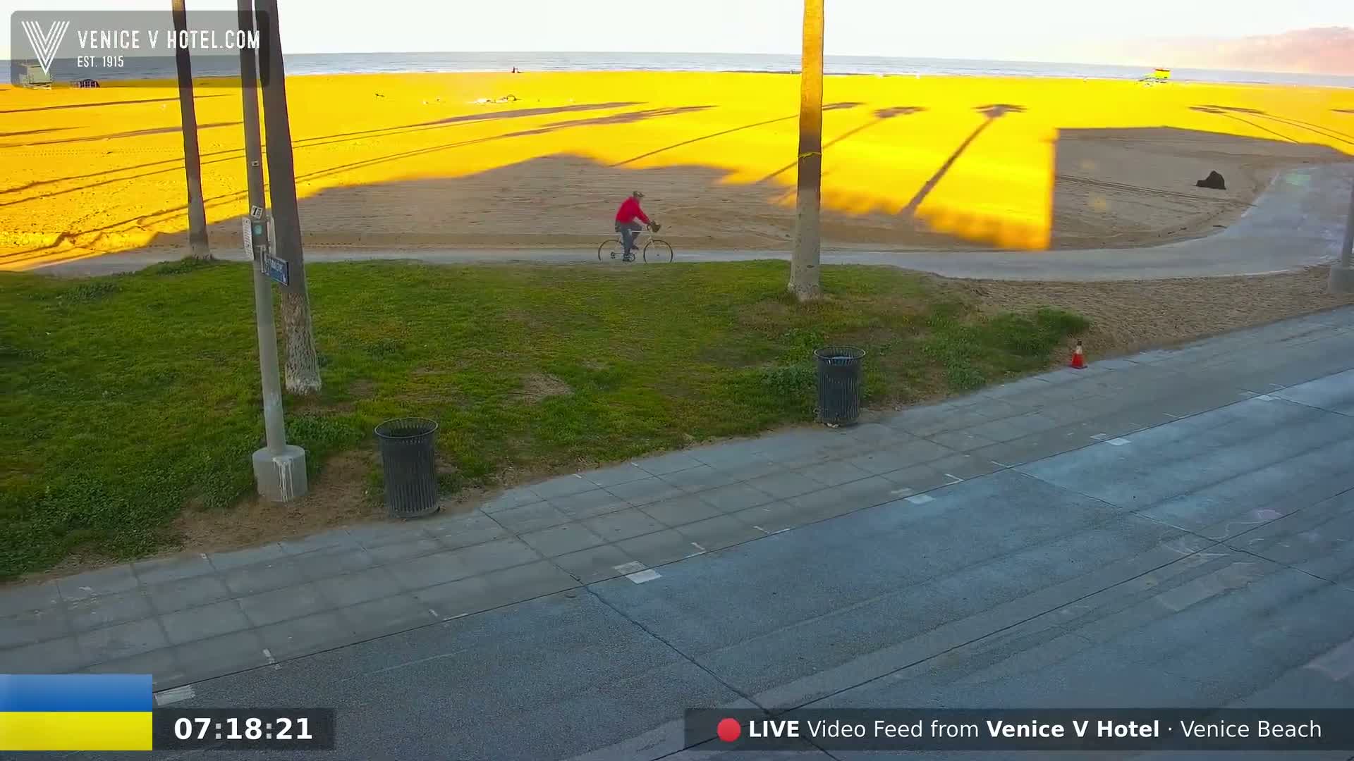 A person rides a bicycle along a paved path next to a beach, where long shadows from palm trees are cast on the sand under a clear, sunny sky.