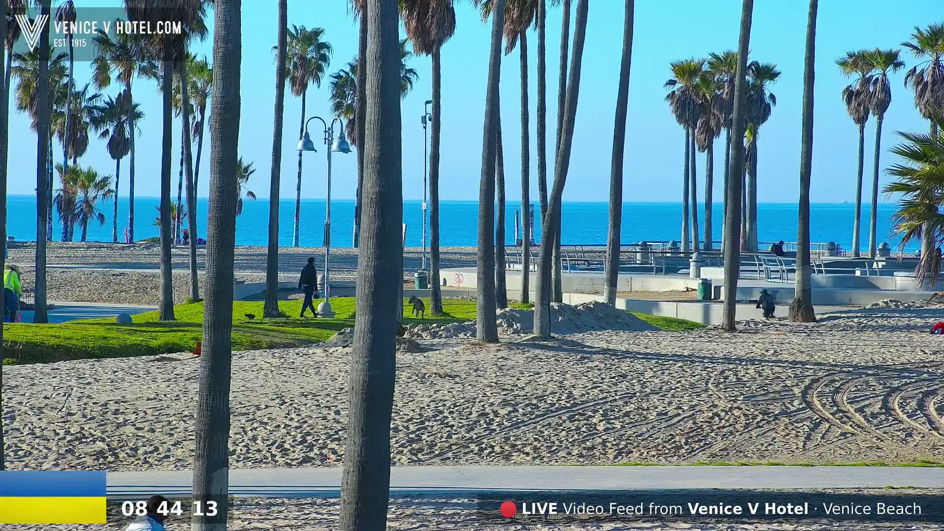 A sandy beach with palm trees and a few people is visible under a clear blue sky, next to a calm ocean.