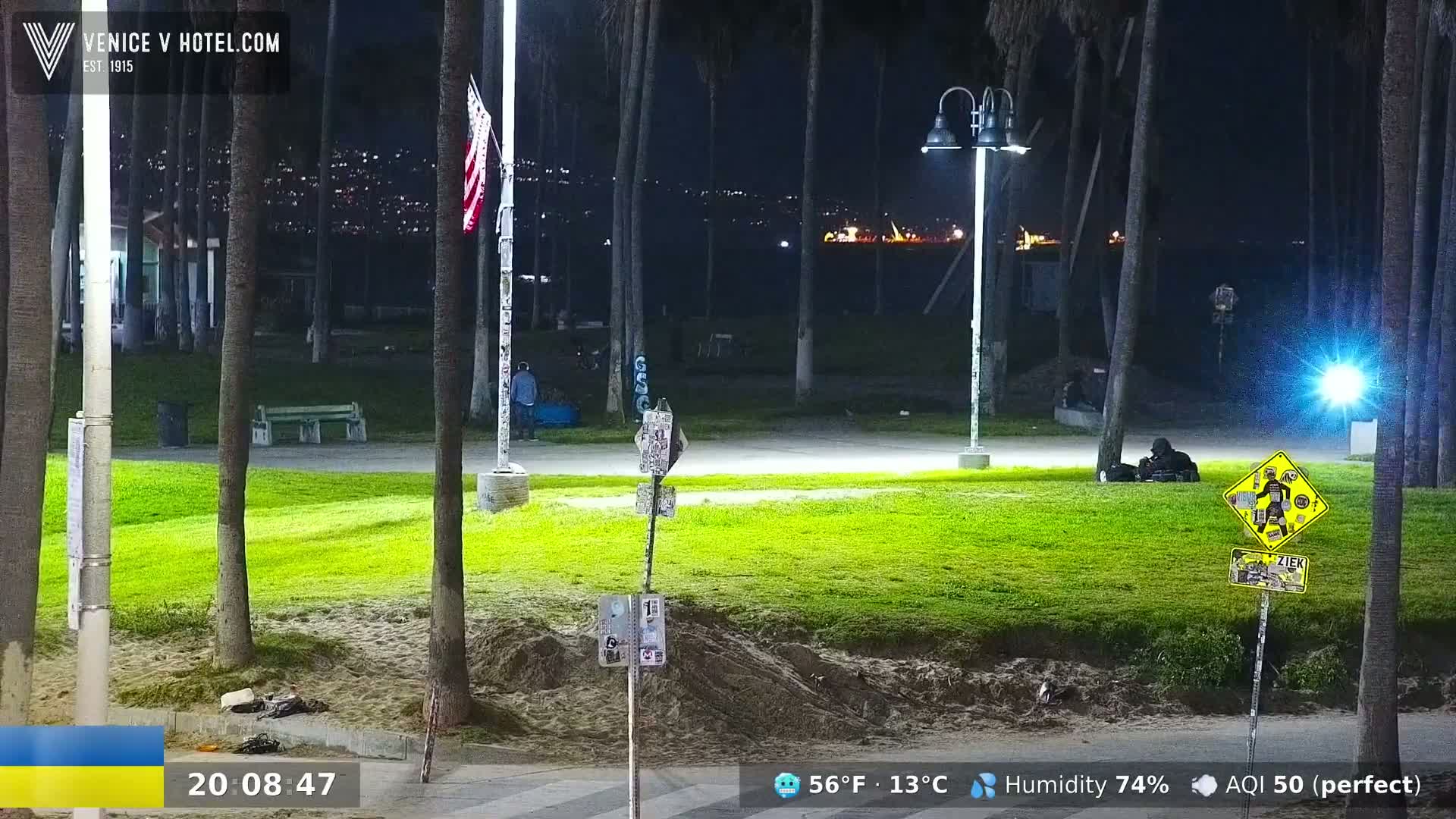 A nighttime view of a grassy park area illuminated by streetlights, with palm trees, a few people, and a distant cityscape visible under a clear sky.