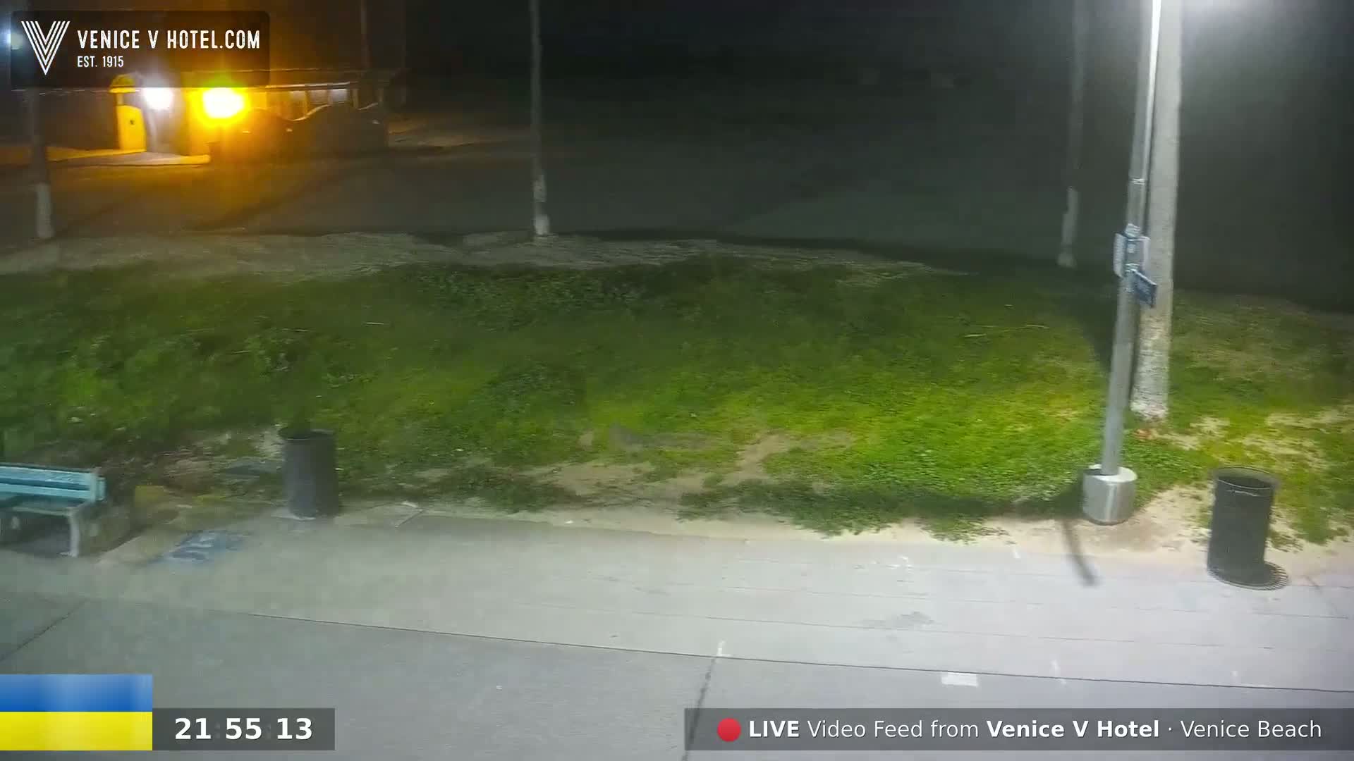 A nighttime view of a sidewalk, a grassy area, and a street, illuminated by a lamppost.